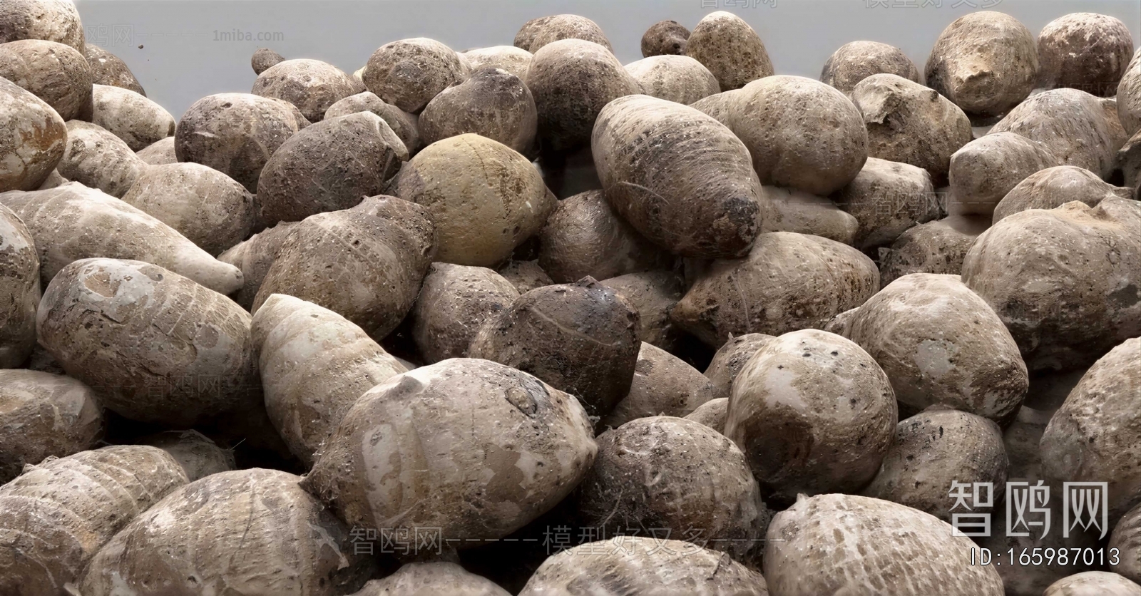 Modern Vegetables
