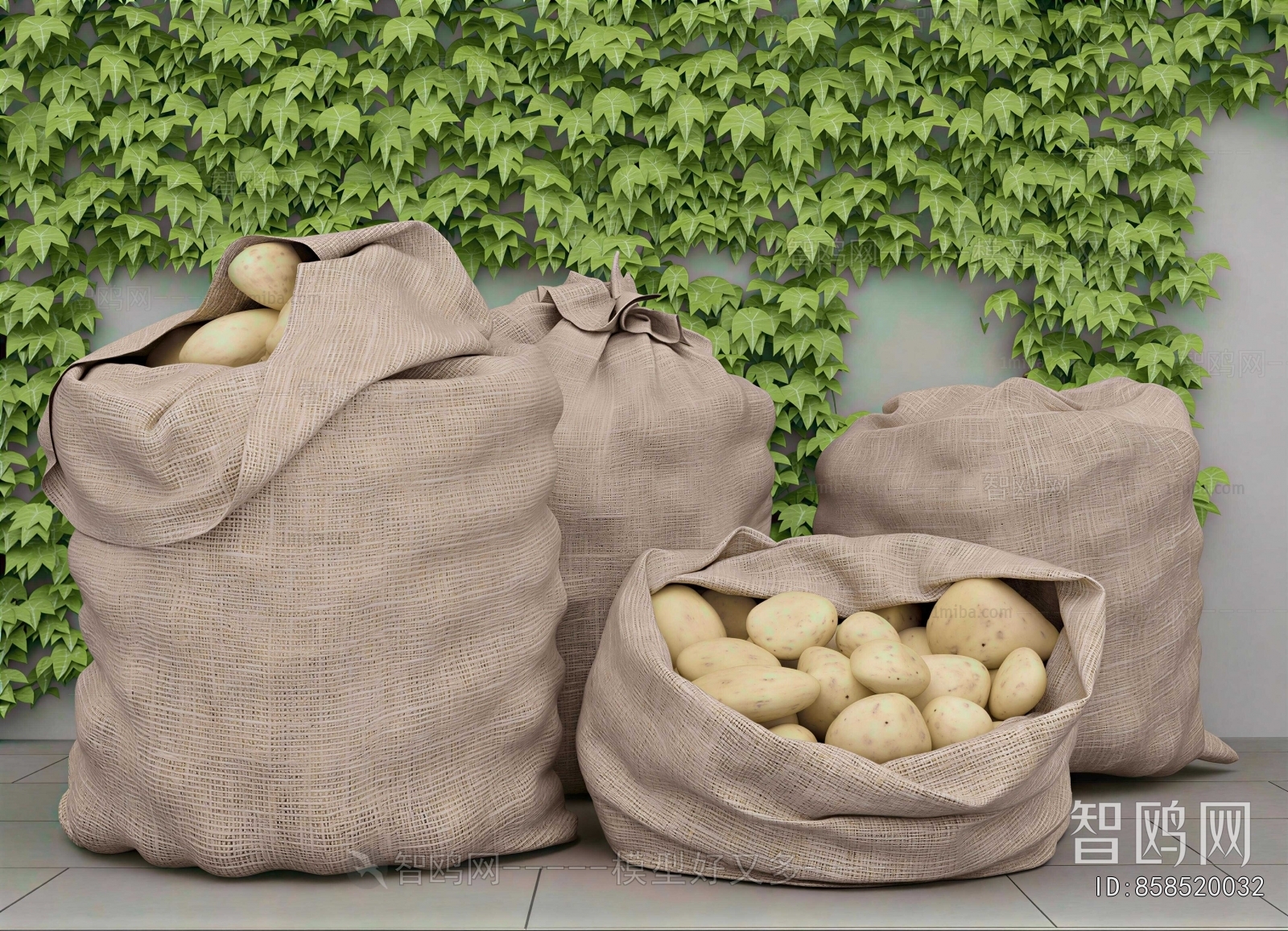 Modern Vegetables