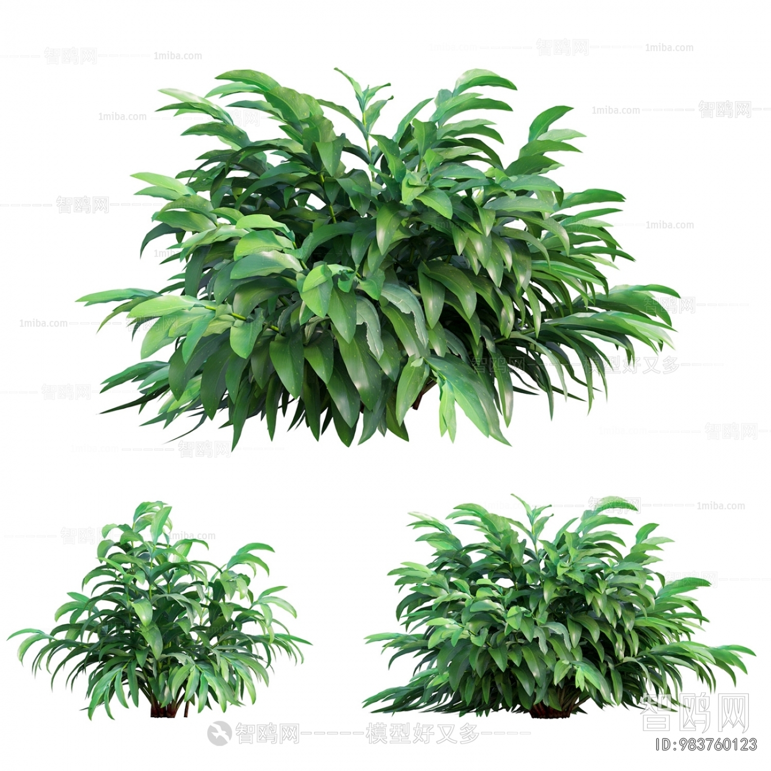 Modern The Grass