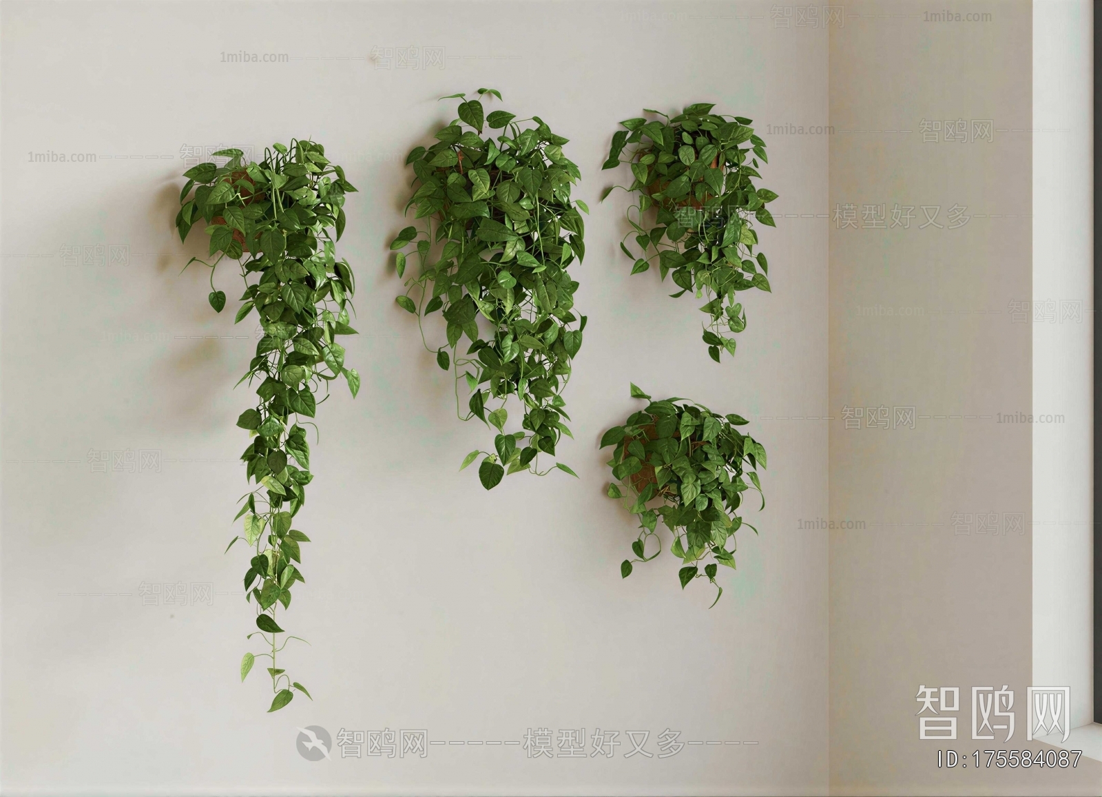 Modern Vine
