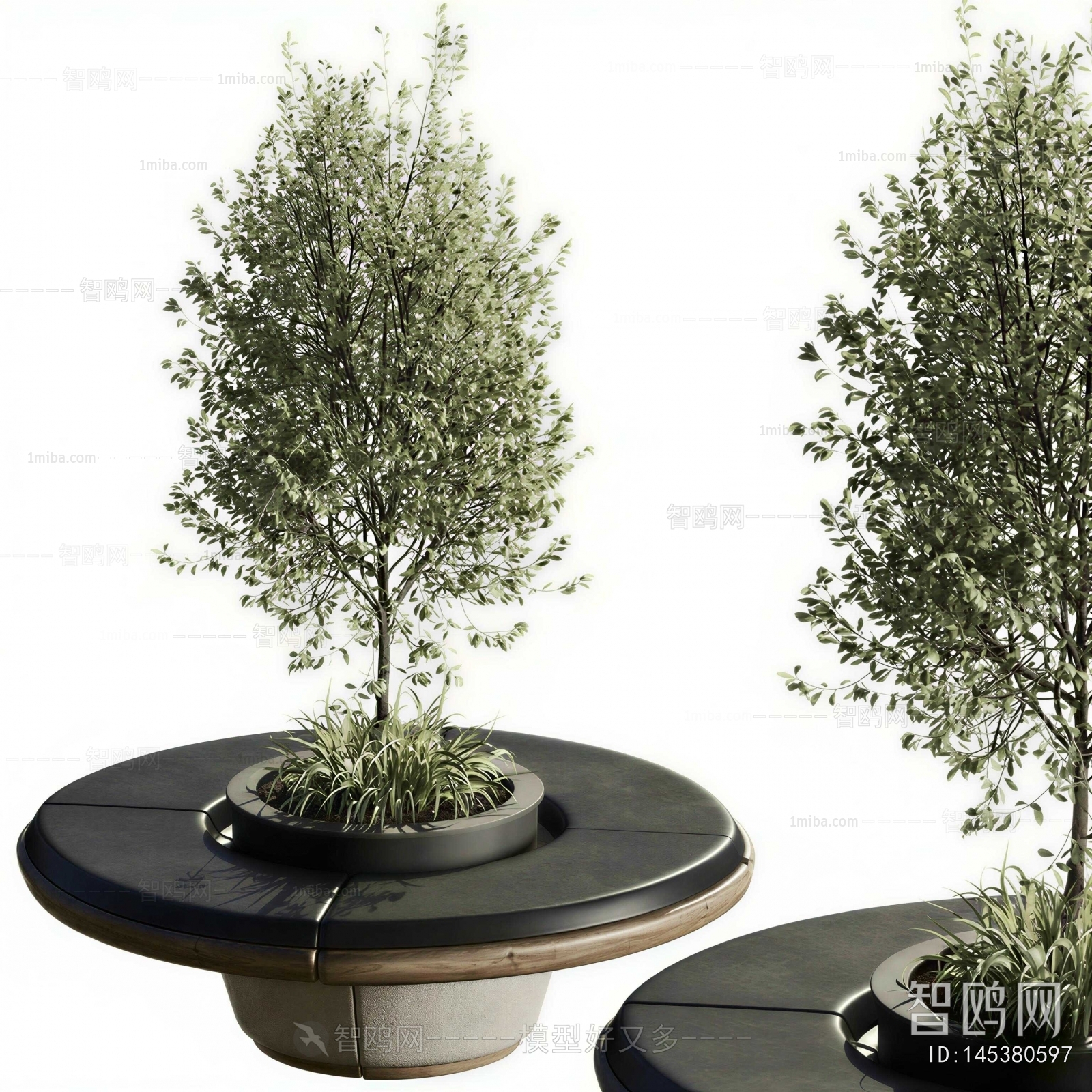 Modern Tree Pool