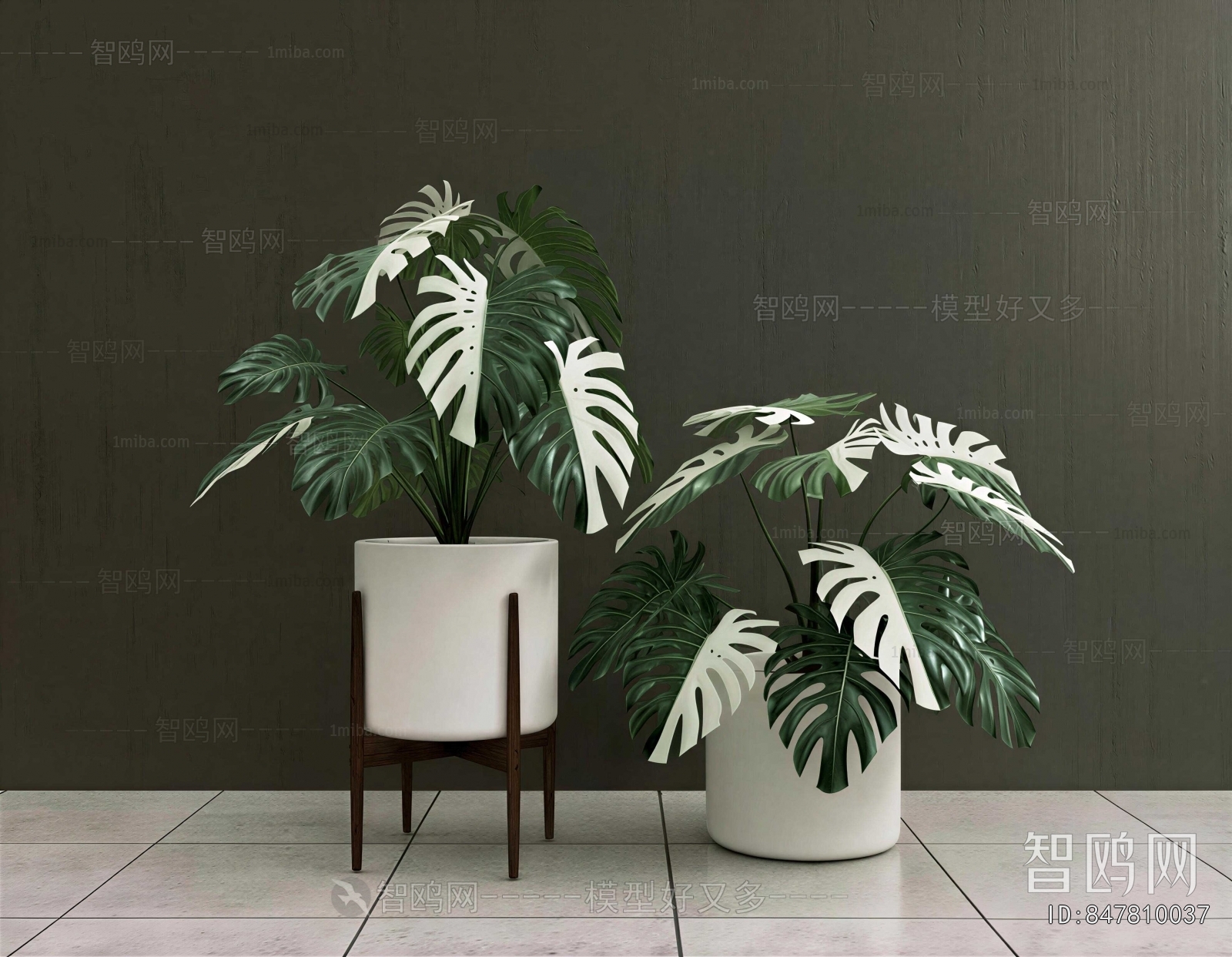 Modern Ground Green Plant Potted Plants