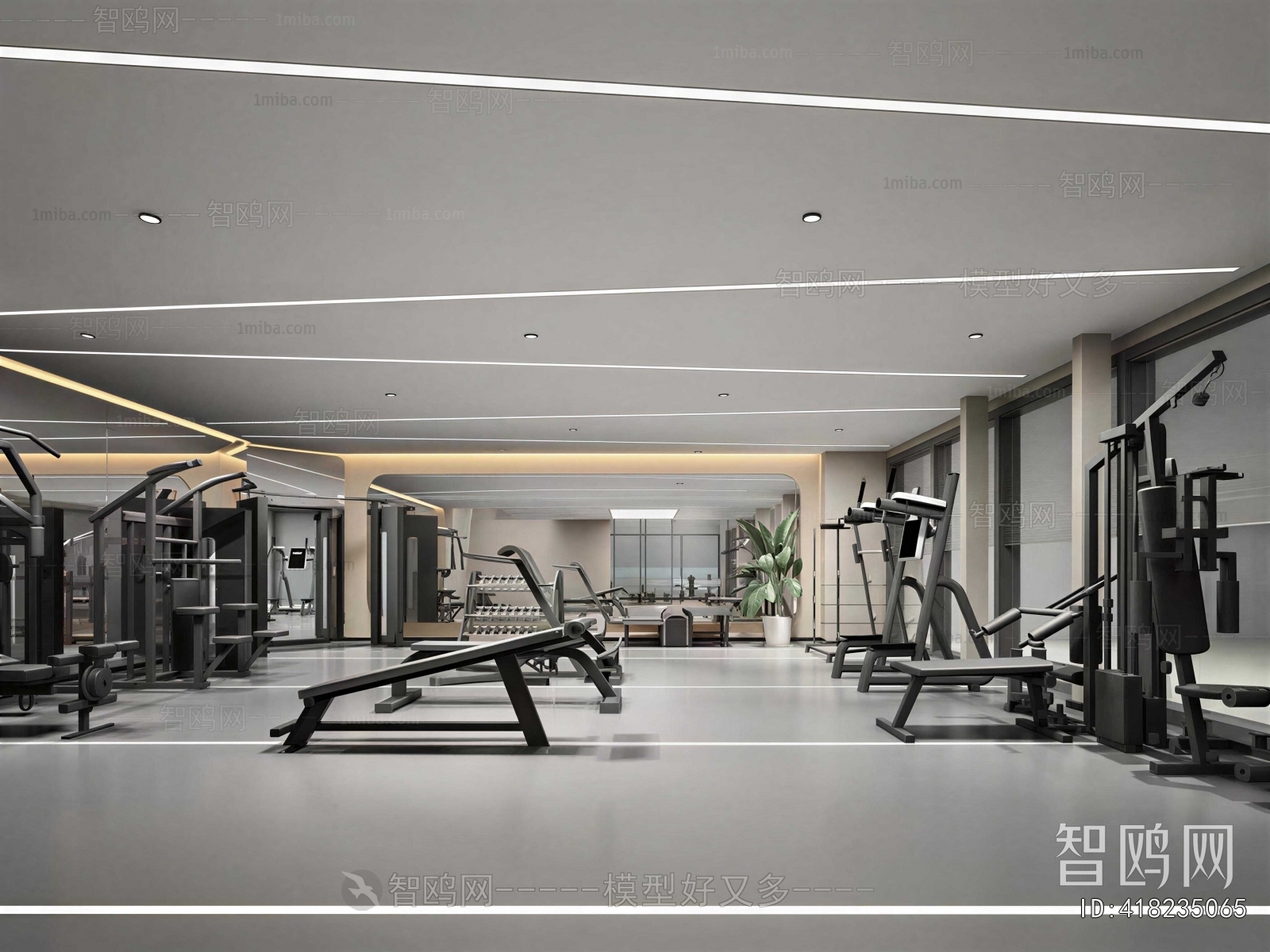Modern Gym