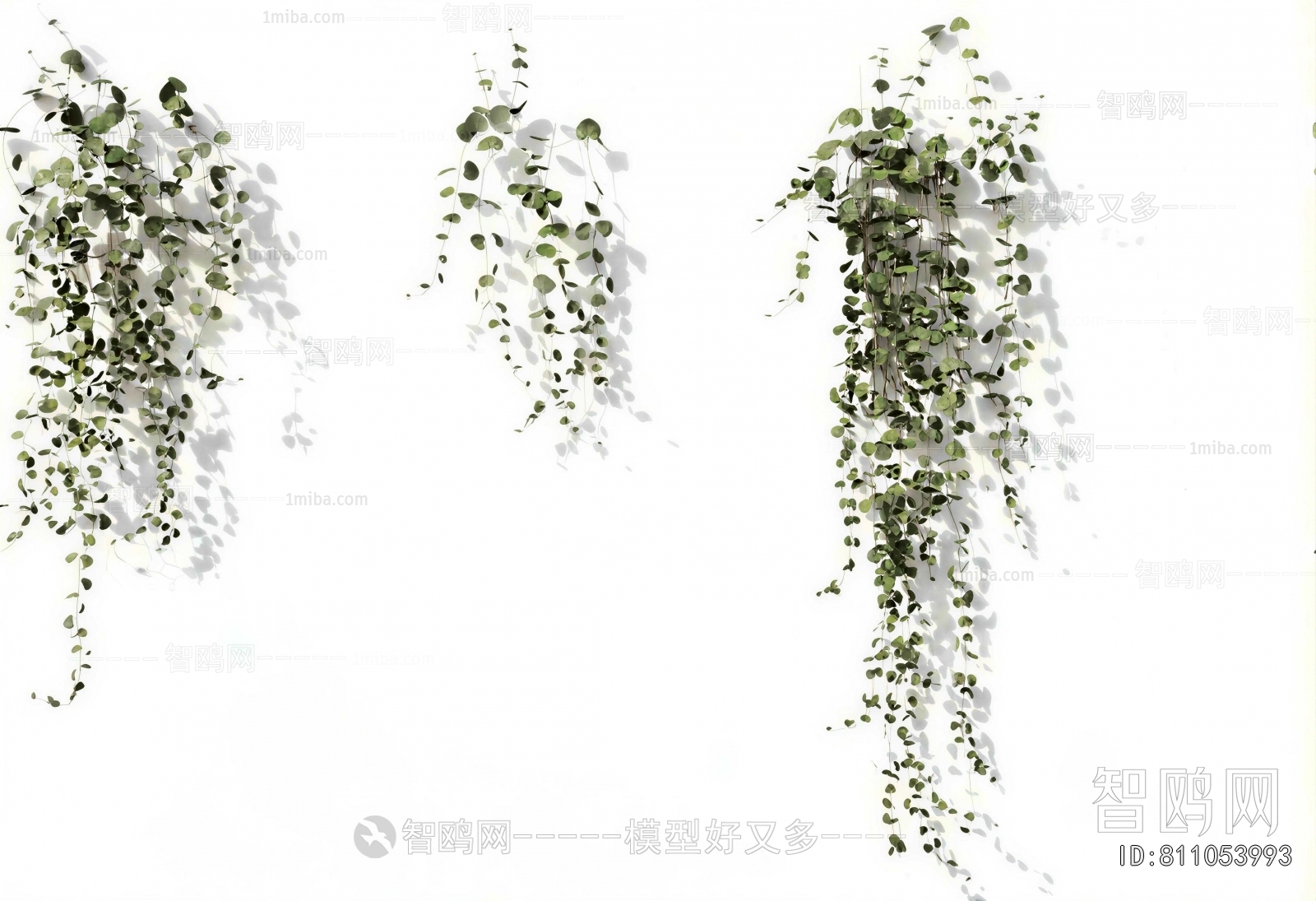 Modern Vine