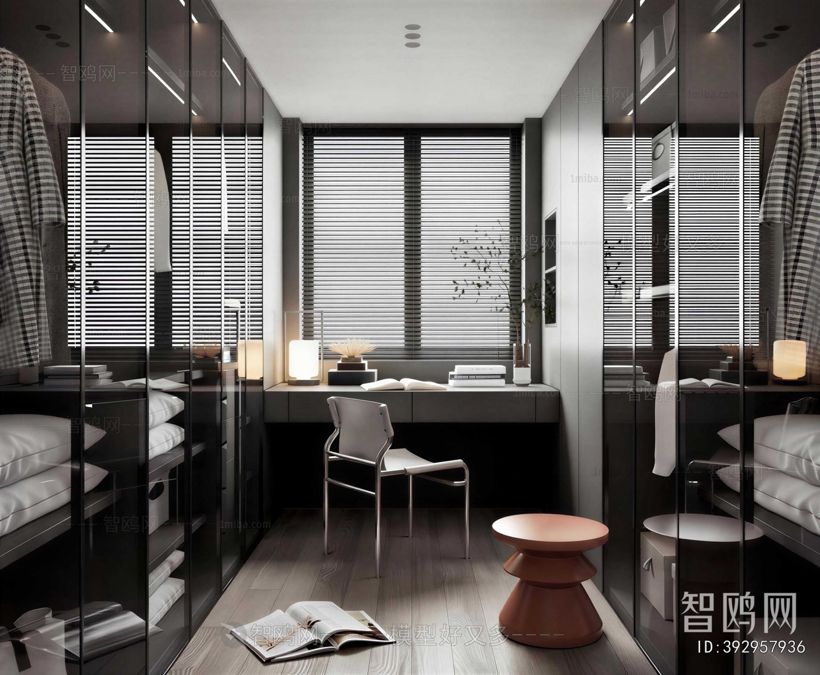 Modern Clothes Storage Area