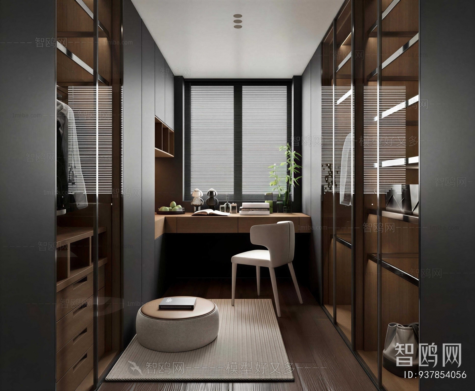 Modern Clothes Storage Area