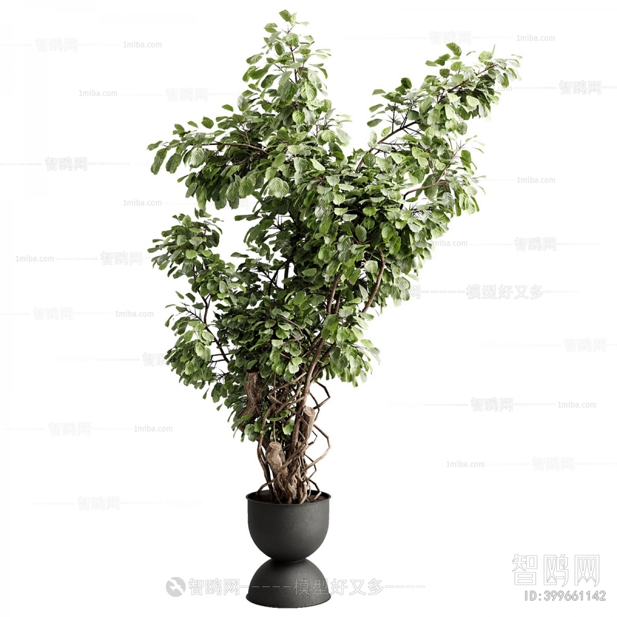 Modern Ground Green Plant Potted Plants