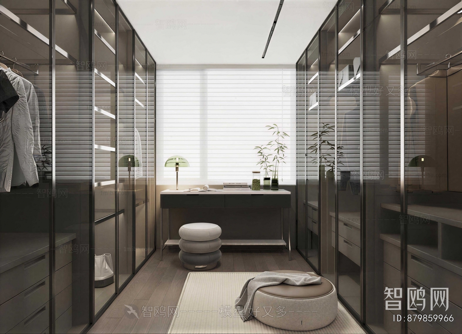 Modern Clothes Storage Area