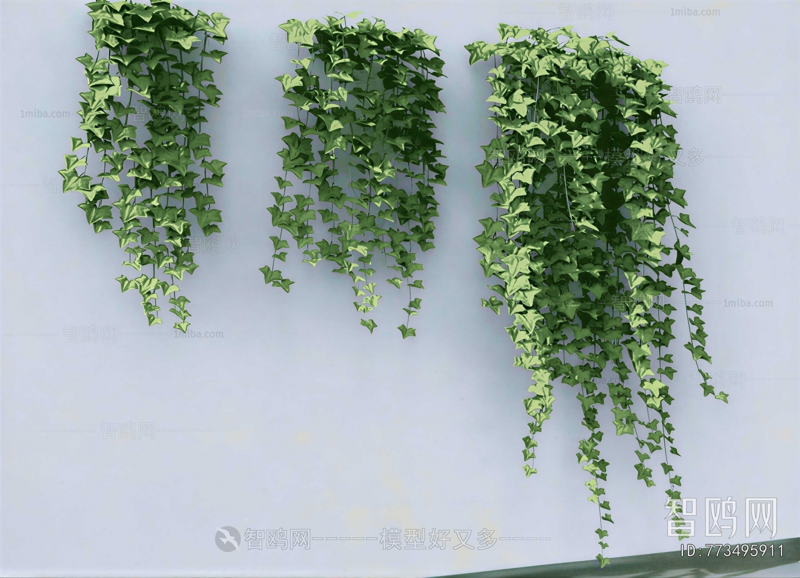 Modern Vine