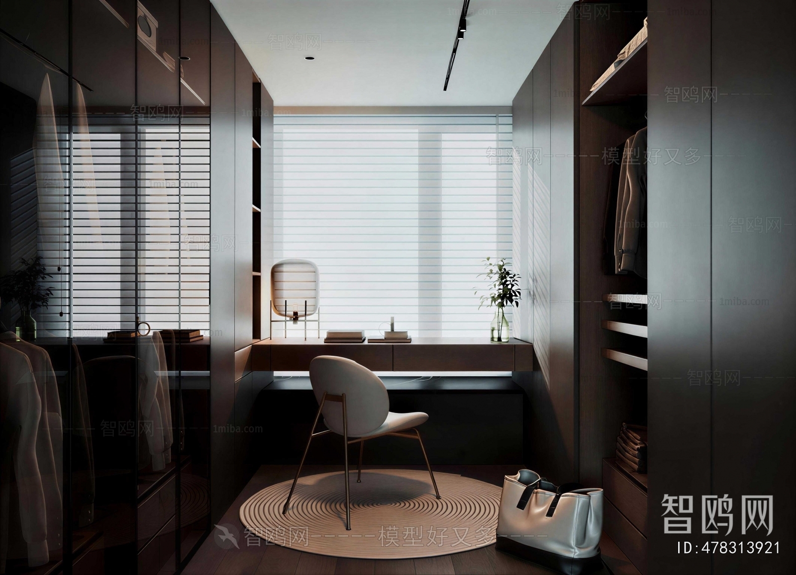 Modern Clothes Storage Area