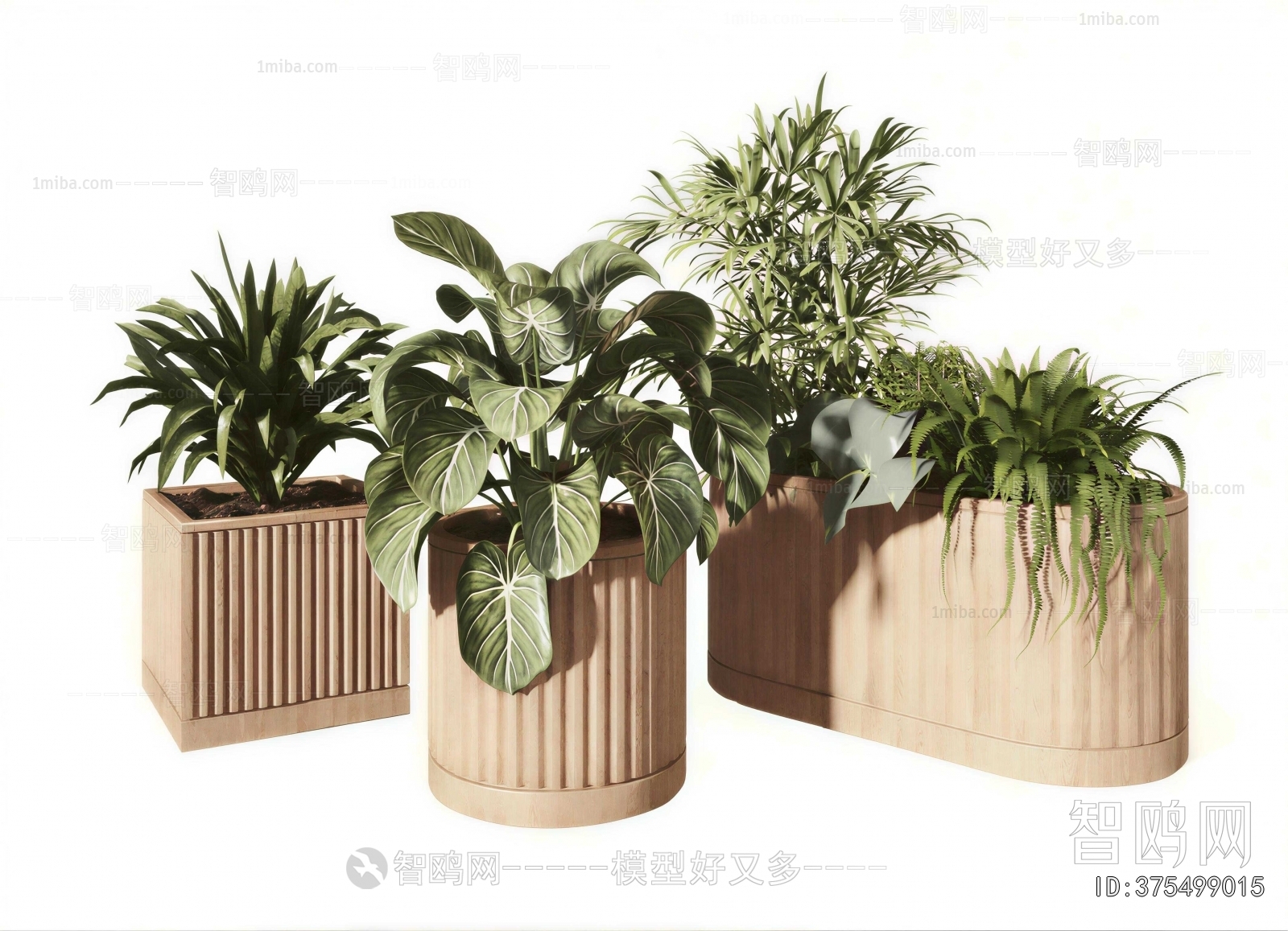 Modern Flower Bed, Flower Bowl, Flower Box