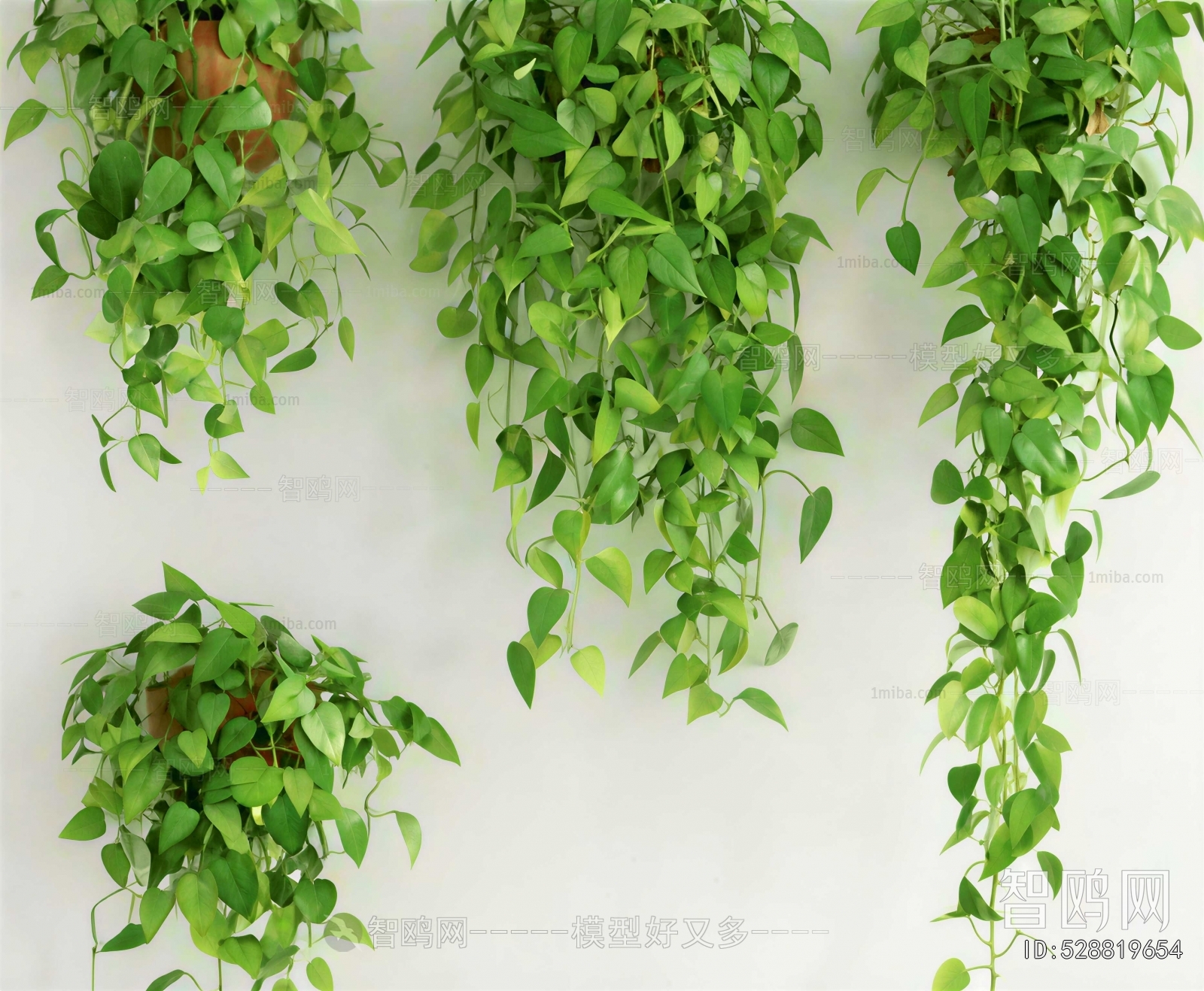 Modern Vine