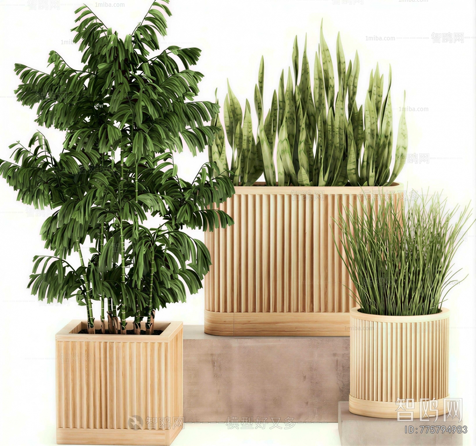 Modern Flower Bed, Flower Bowl, Flower Box