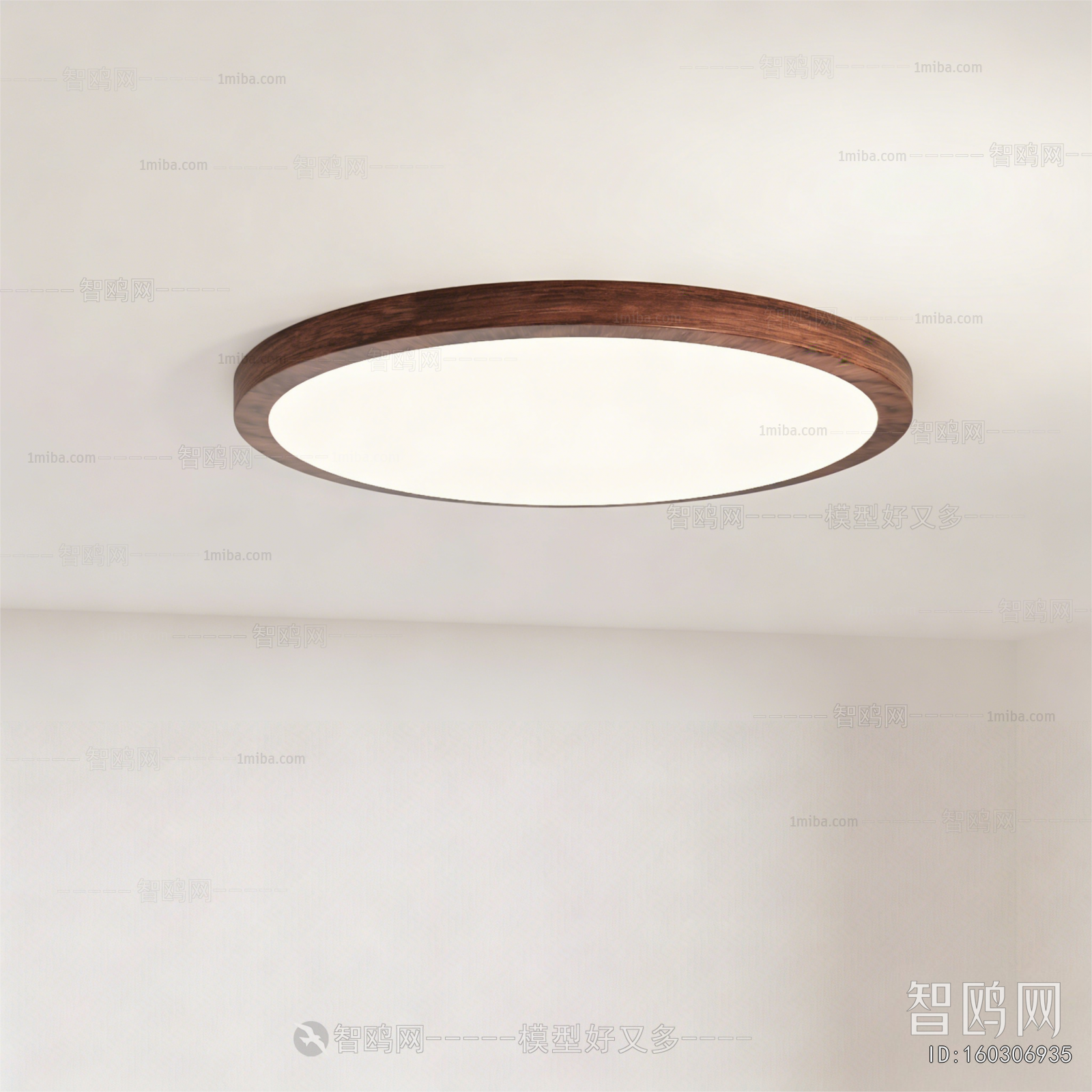 Modern Ceiling Ceiling Lamp
