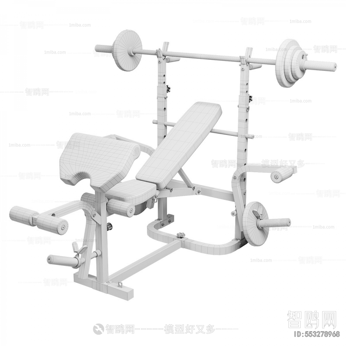Modern Fitness Equipment