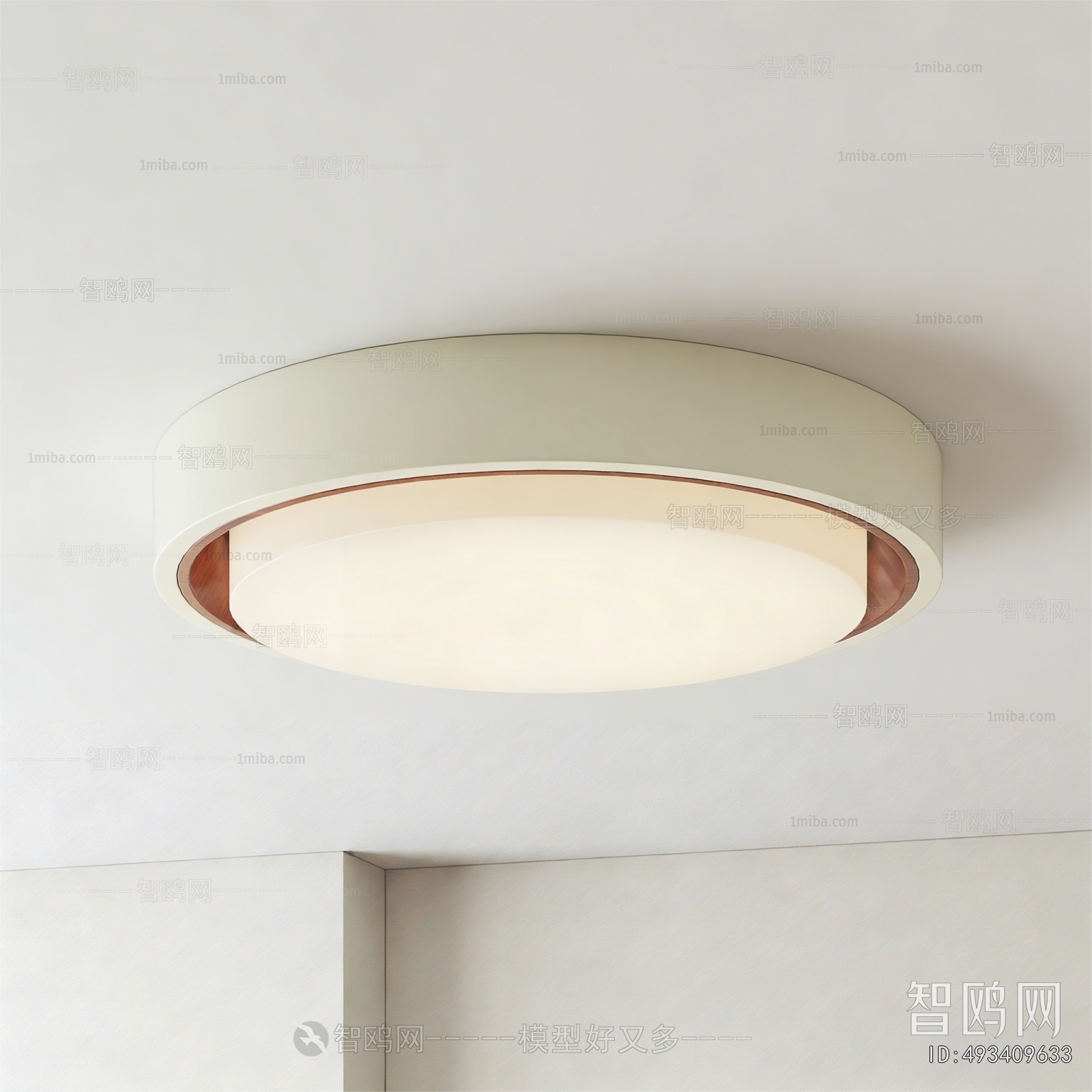 Modern Ceiling Ceiling Lamp