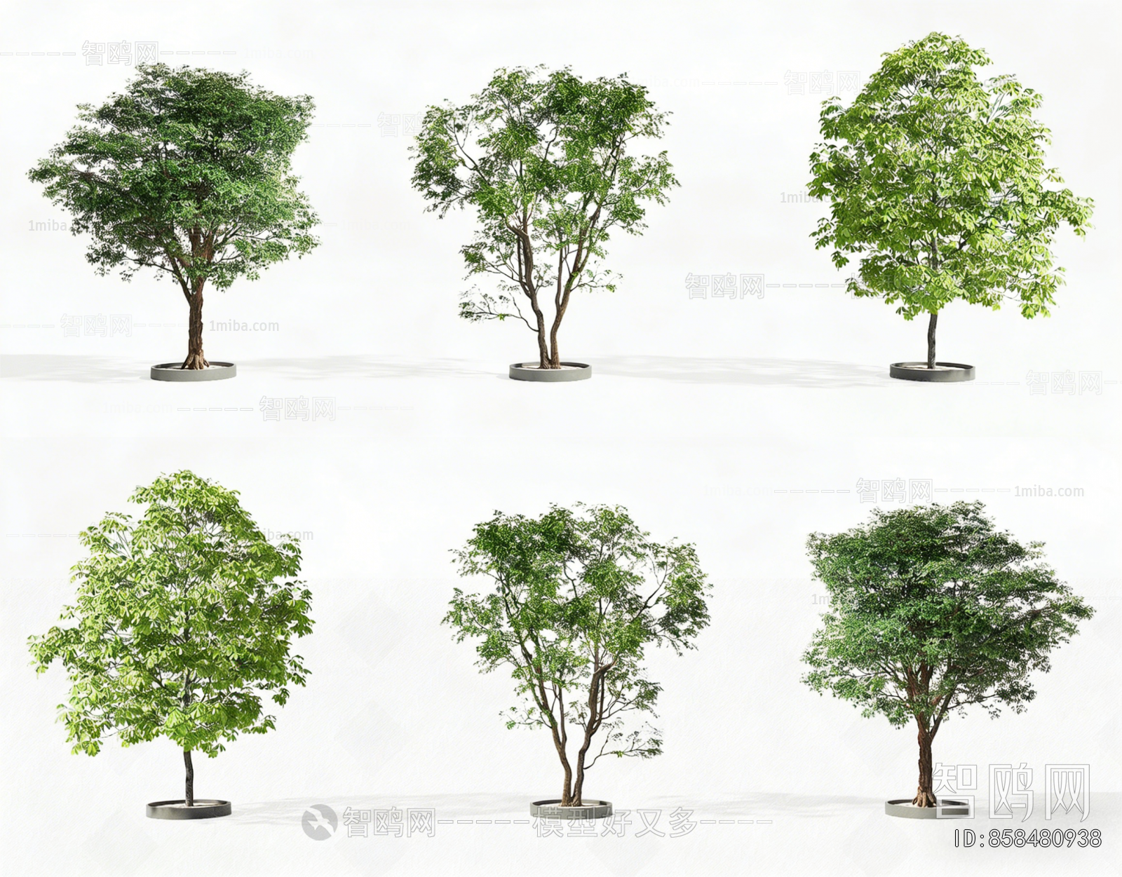 Modern Tree