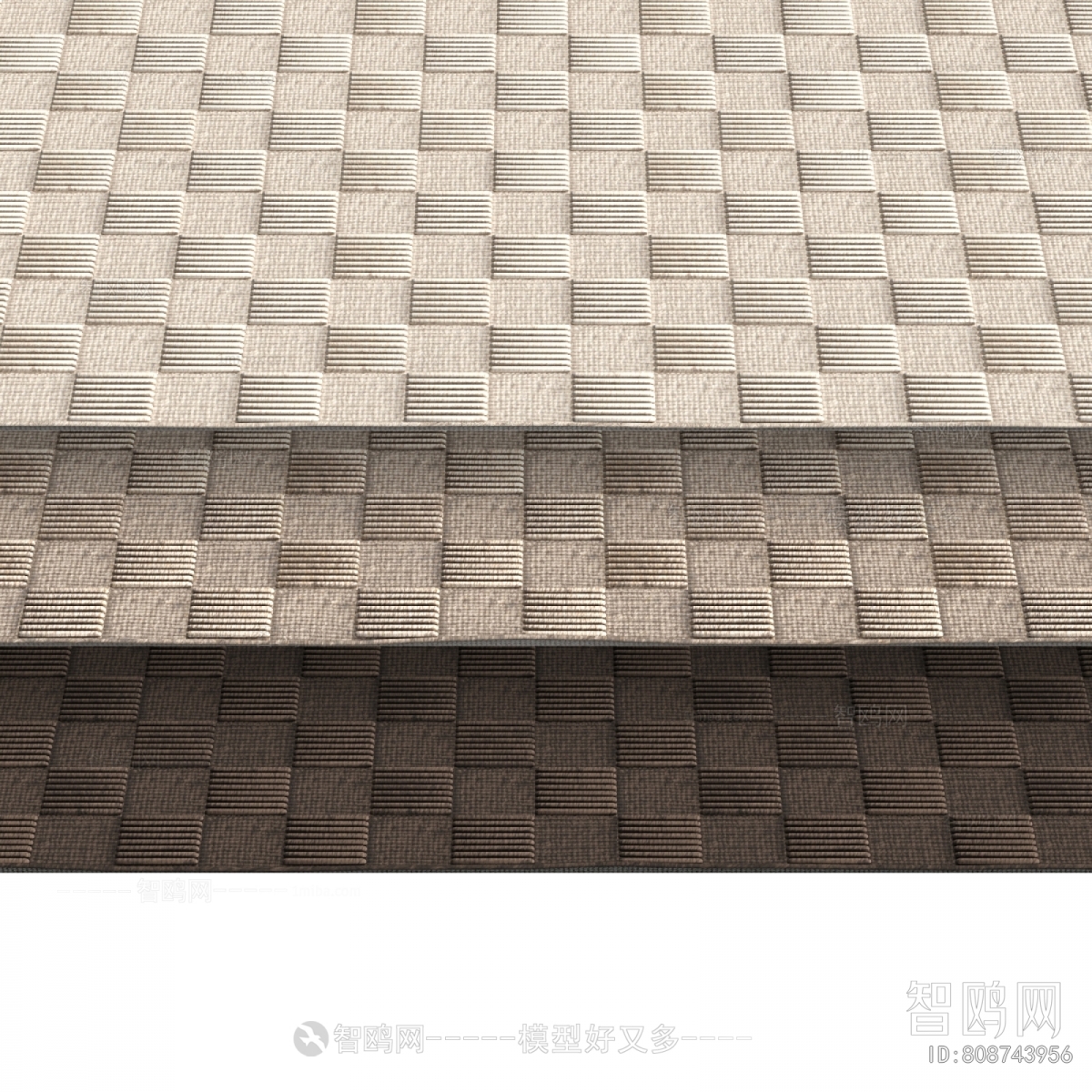 Modern The Carpet