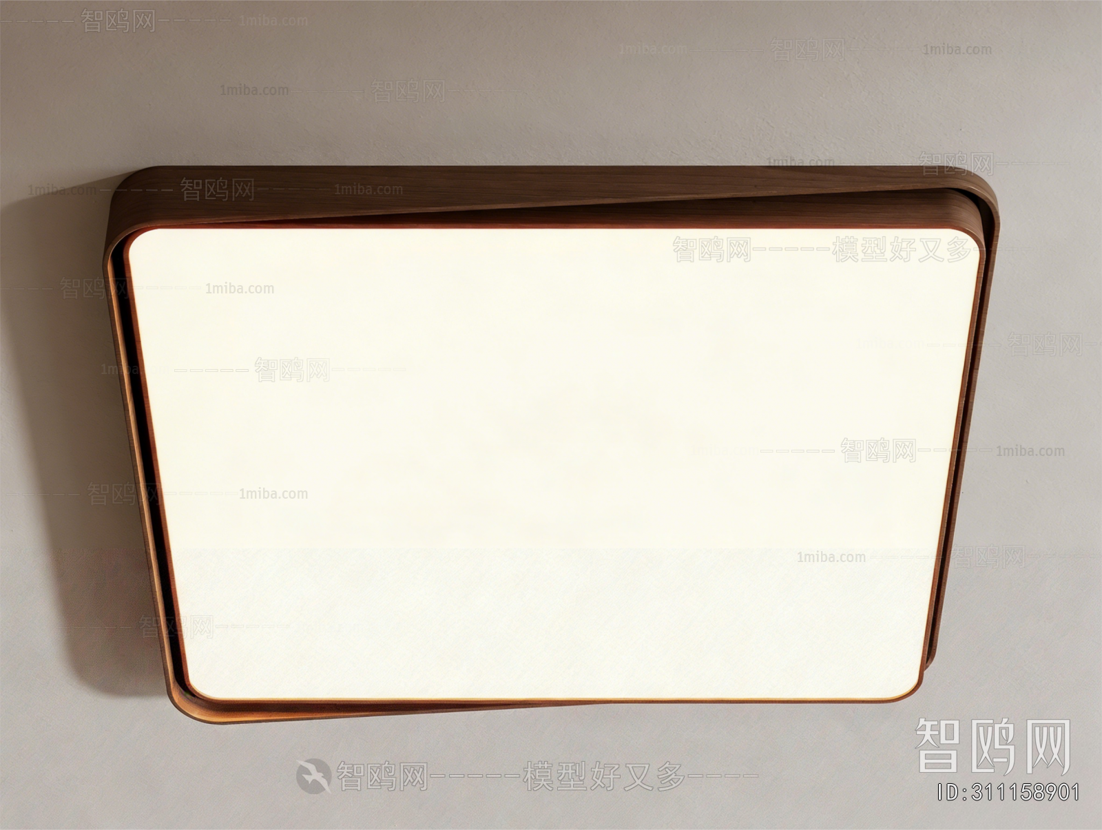 Modern Ceiling Ceiling Lamp