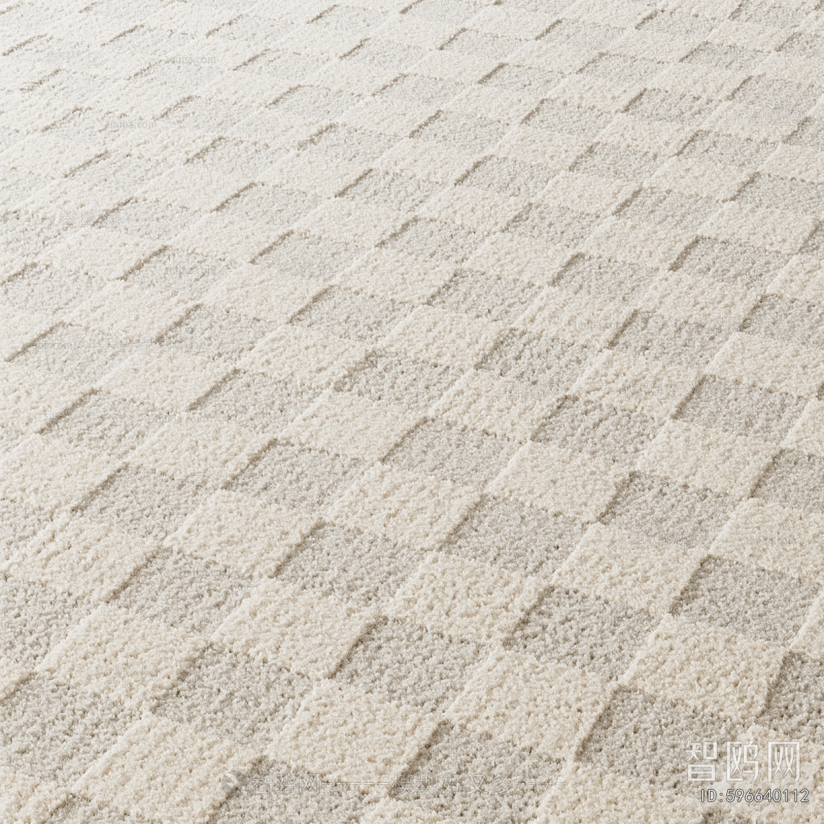 Modern The Carpet
