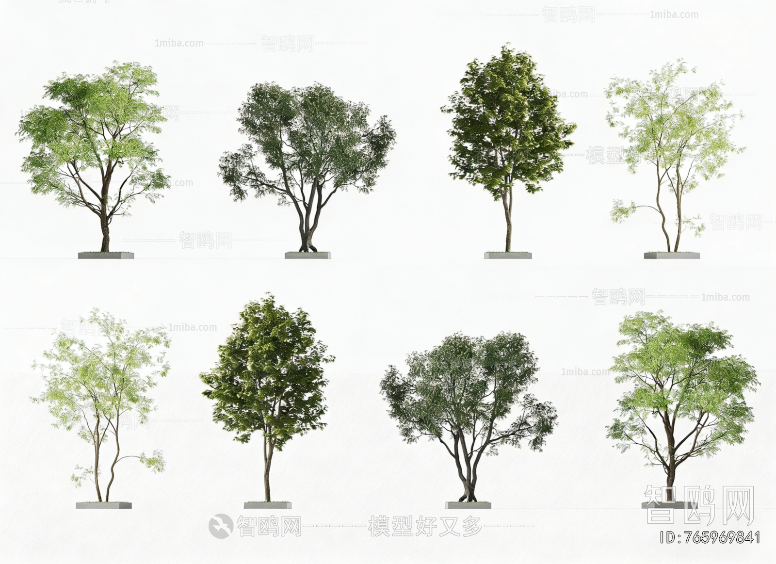 Modern Tree