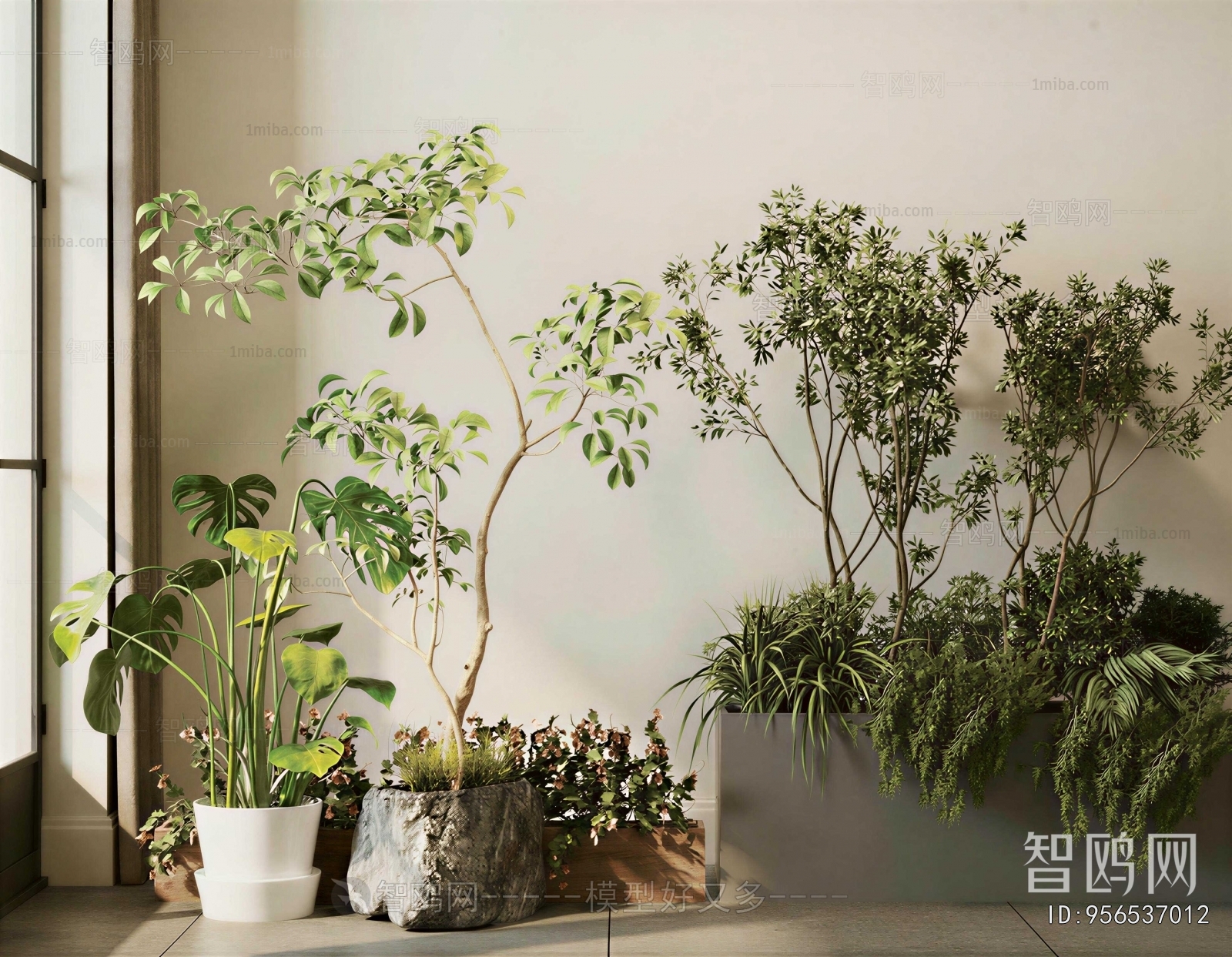 Modern Ground Green Plant Potted Plants