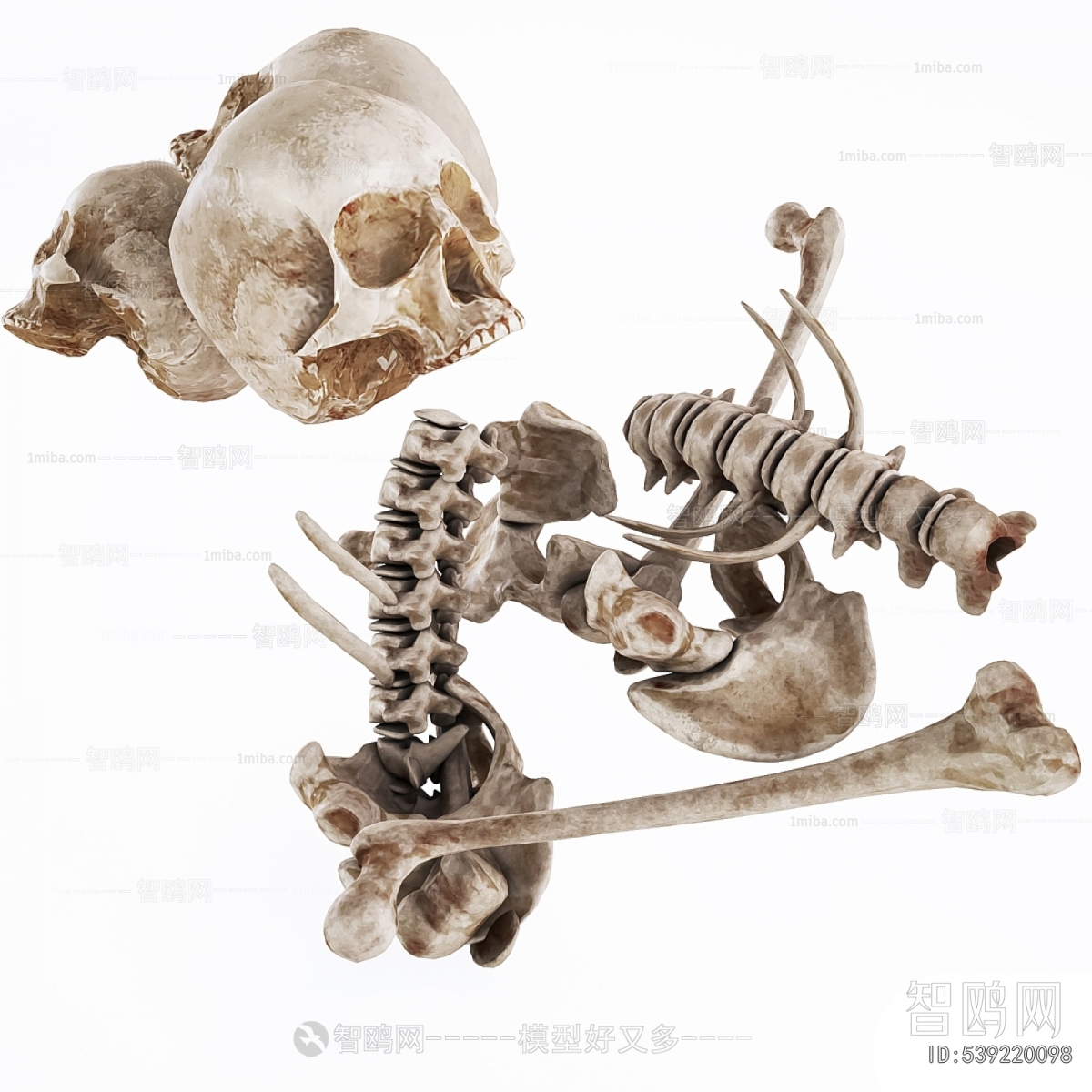 Modern Medical Equipment
