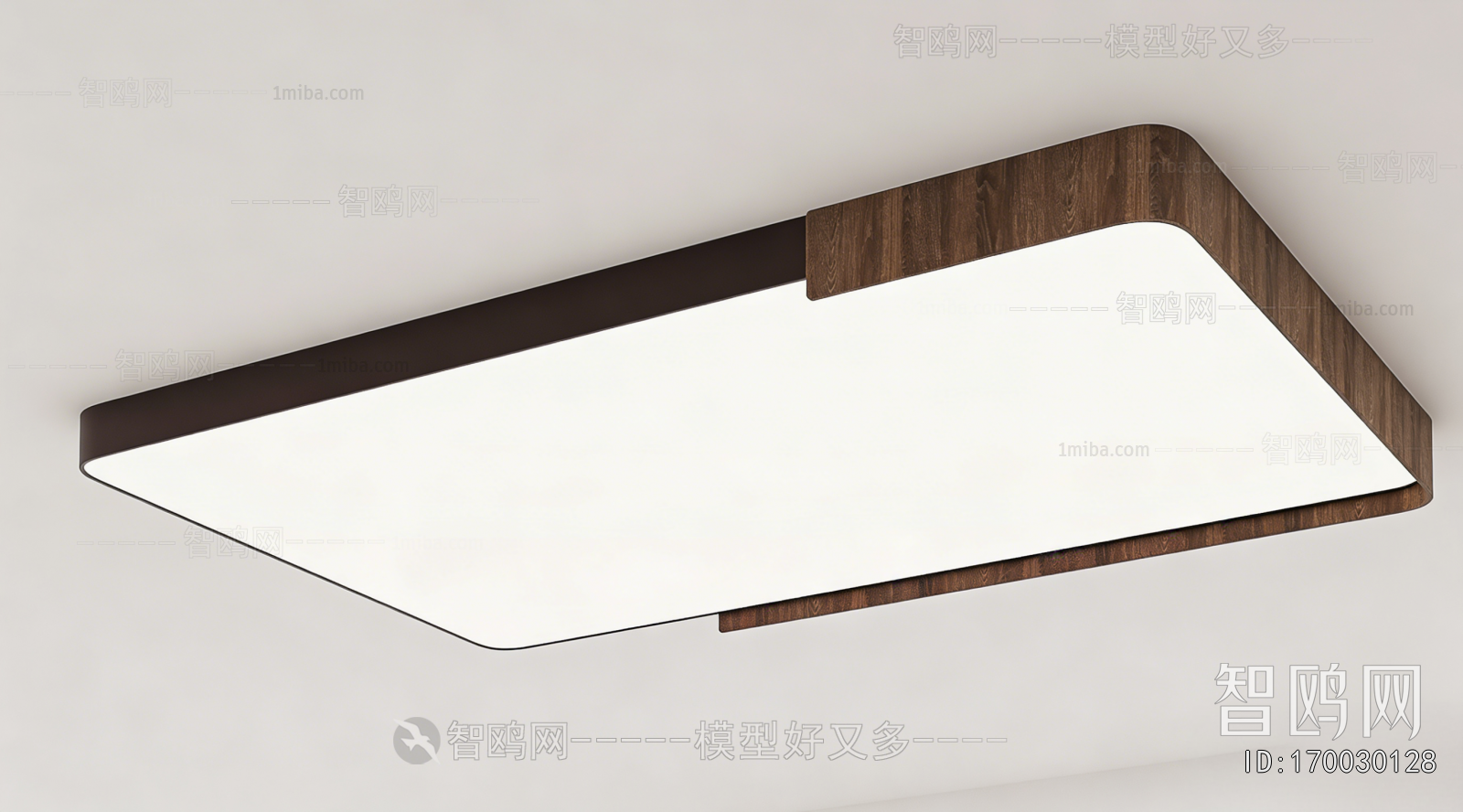 Modern Ceiling Ceiling Lamp