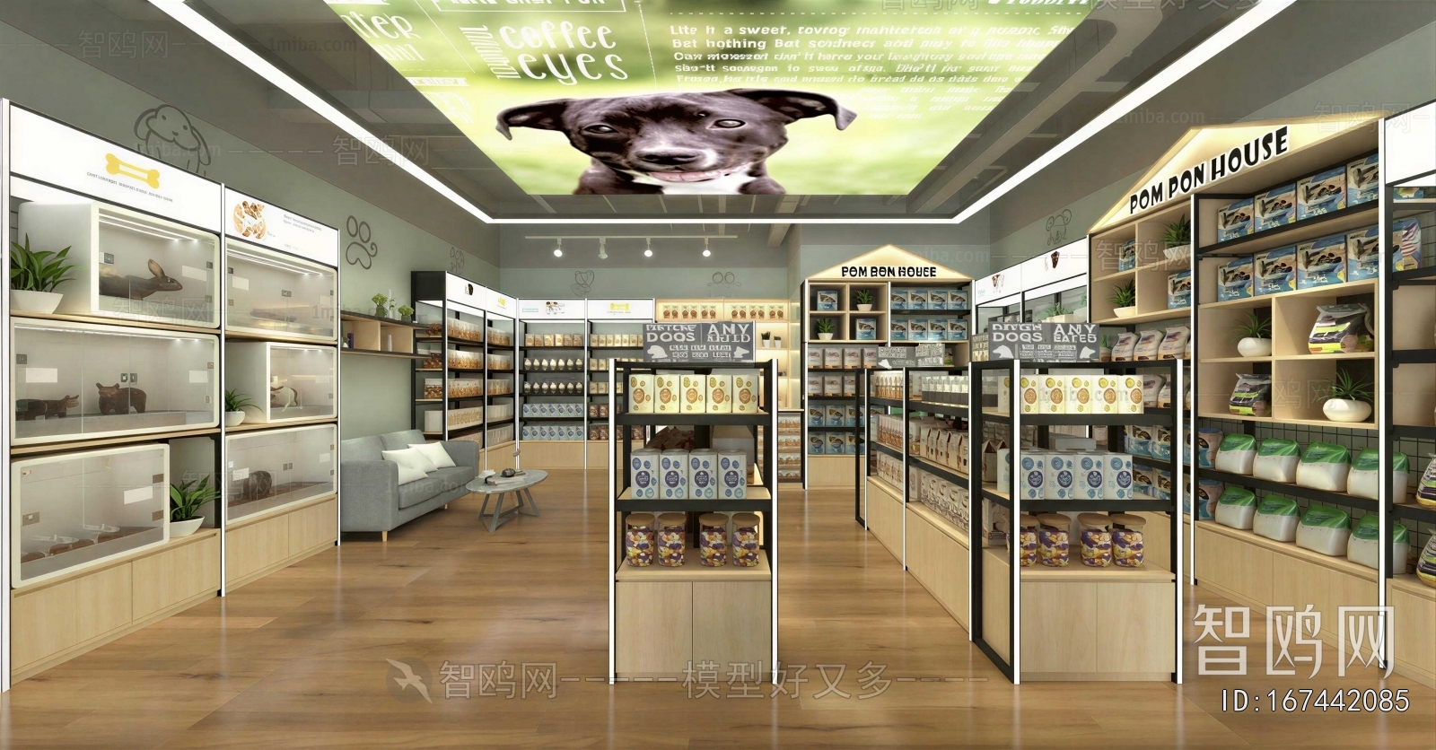 Modern Pet Shop