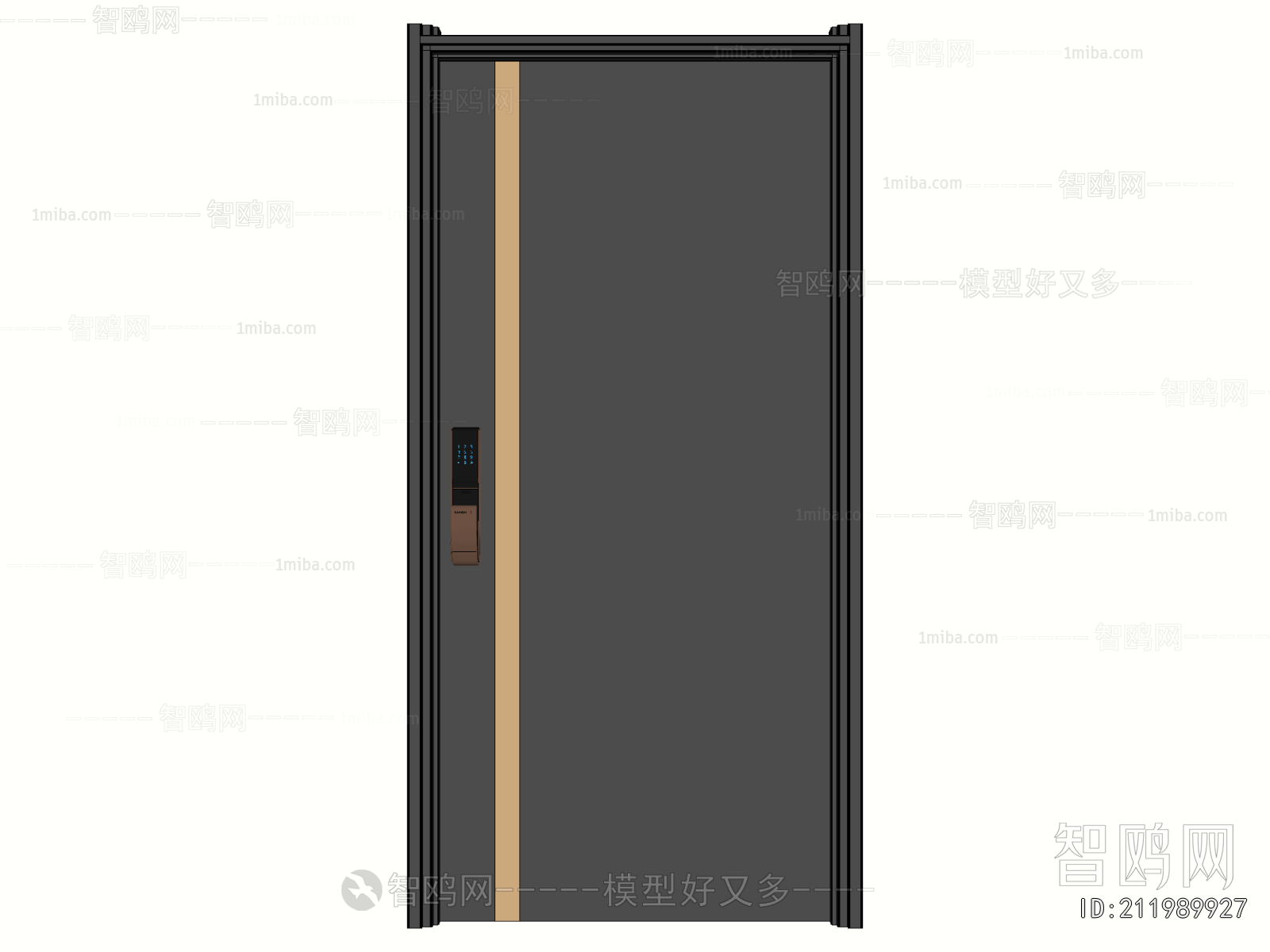Modern Entrance Door