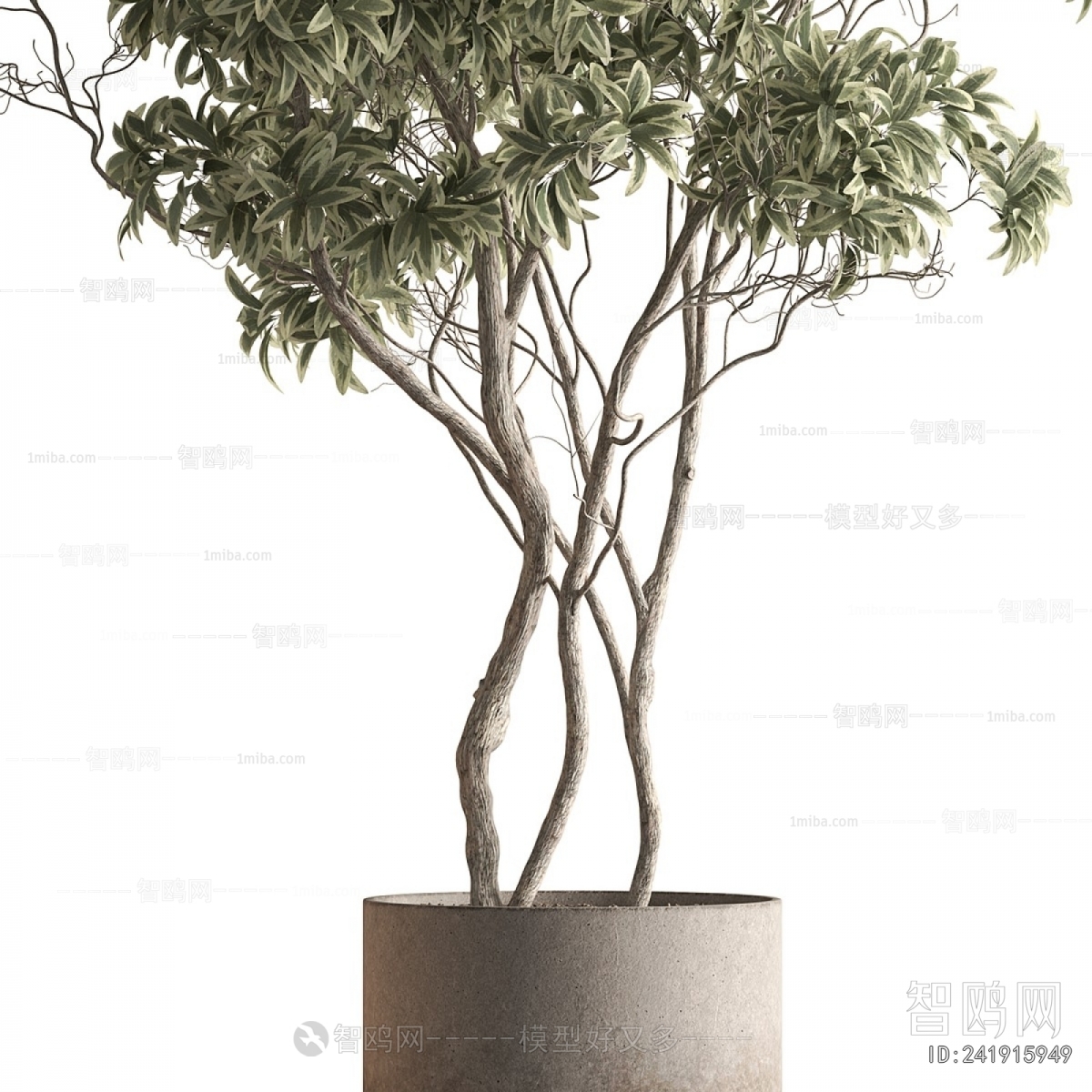 Modern Ground Green Plant Potted Plants