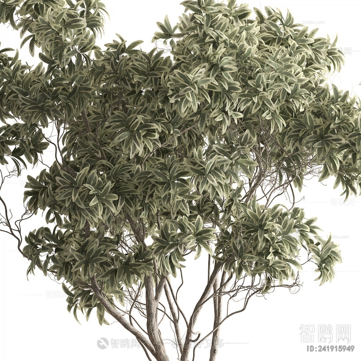 Modern Ground Green Plant Potted Plants