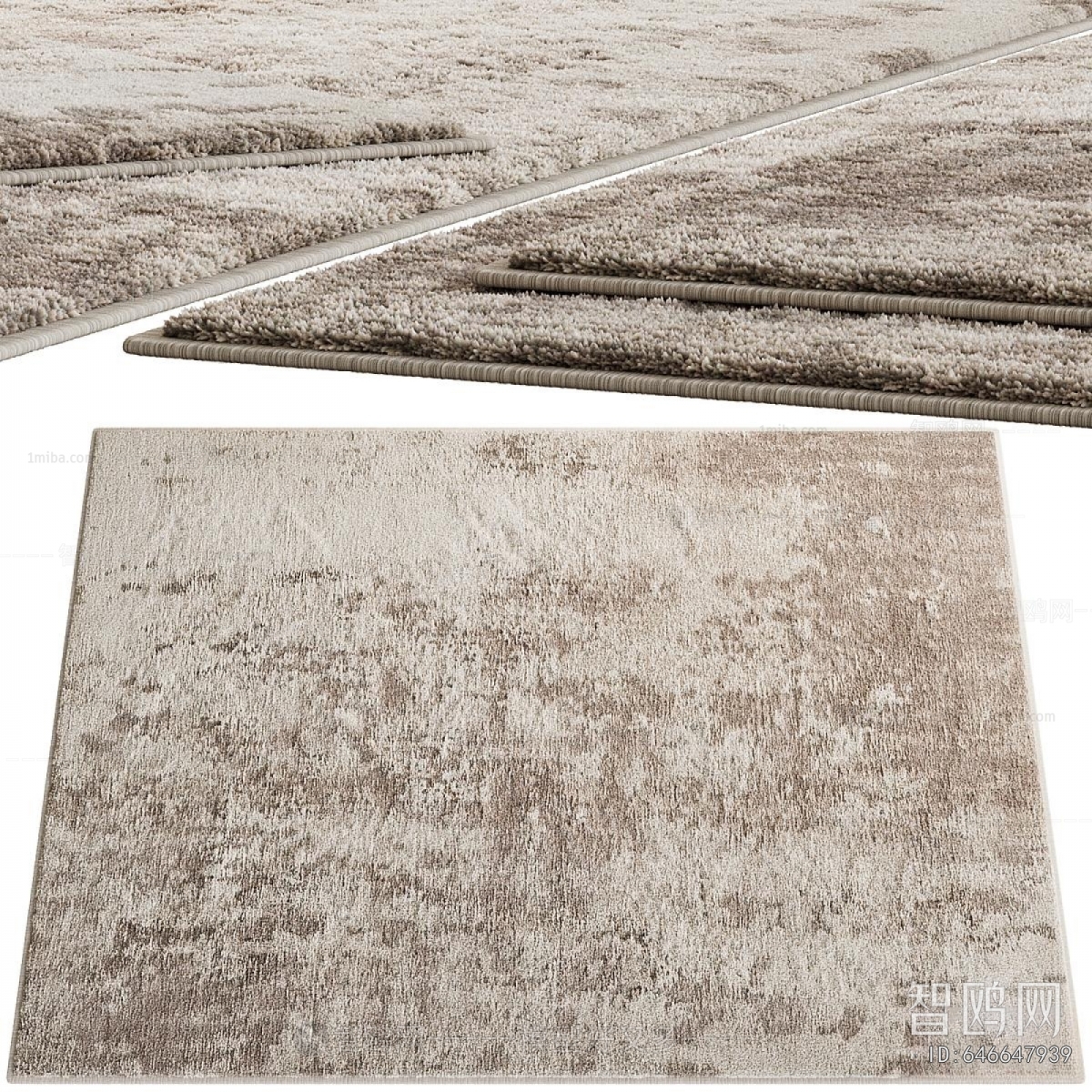 Modern The Carpet