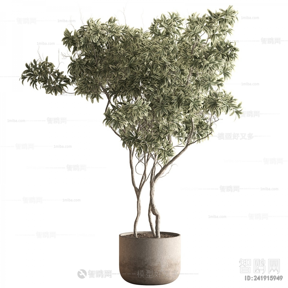 Modern Ground Green Plant Potted Plants