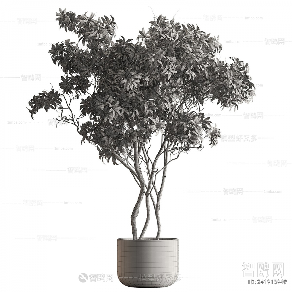 Modern Ground Green Plant Potted Plants