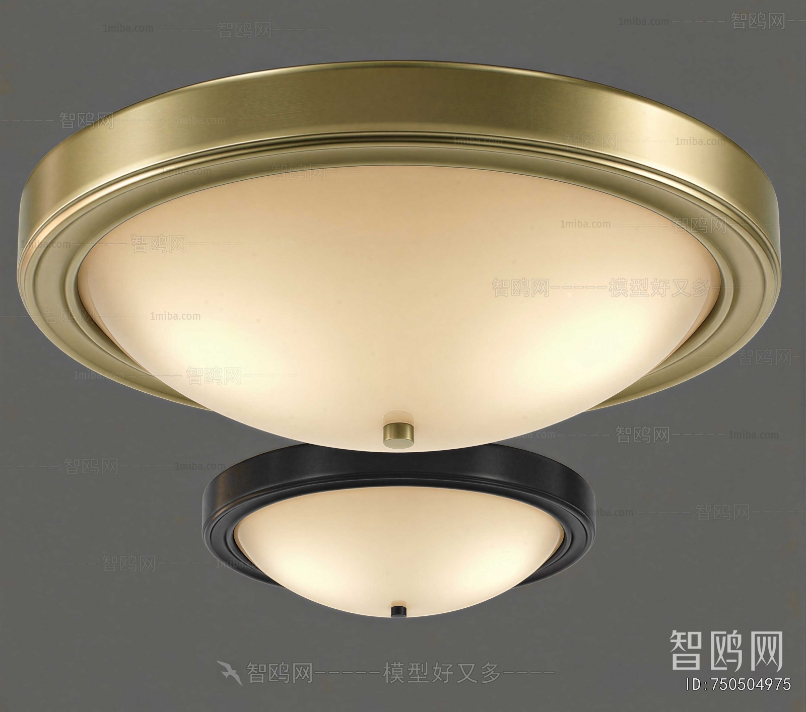 Modern Ceiling Ceiling Lamp