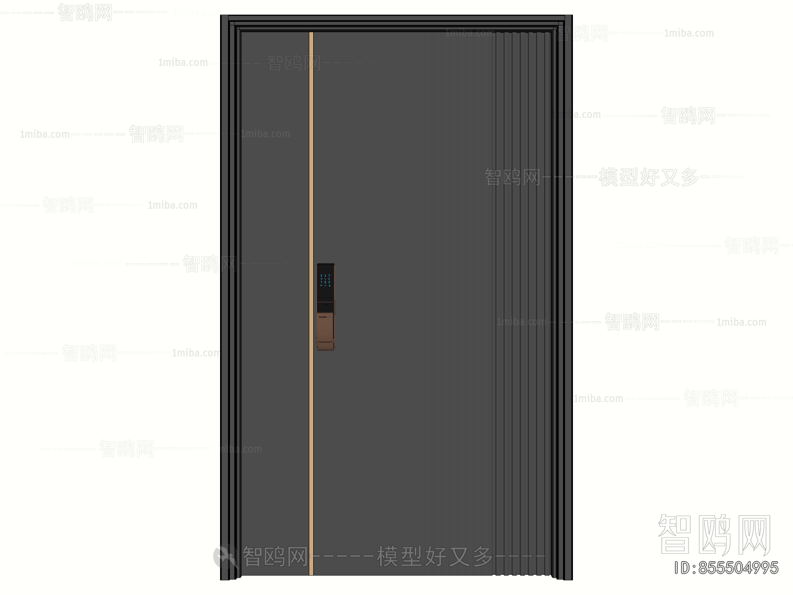 Modern Entrance Door