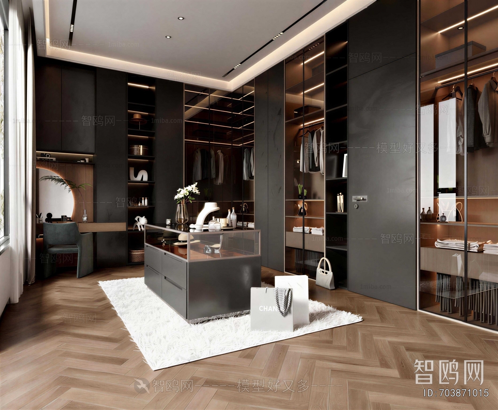 Modern Clothes Storage Area