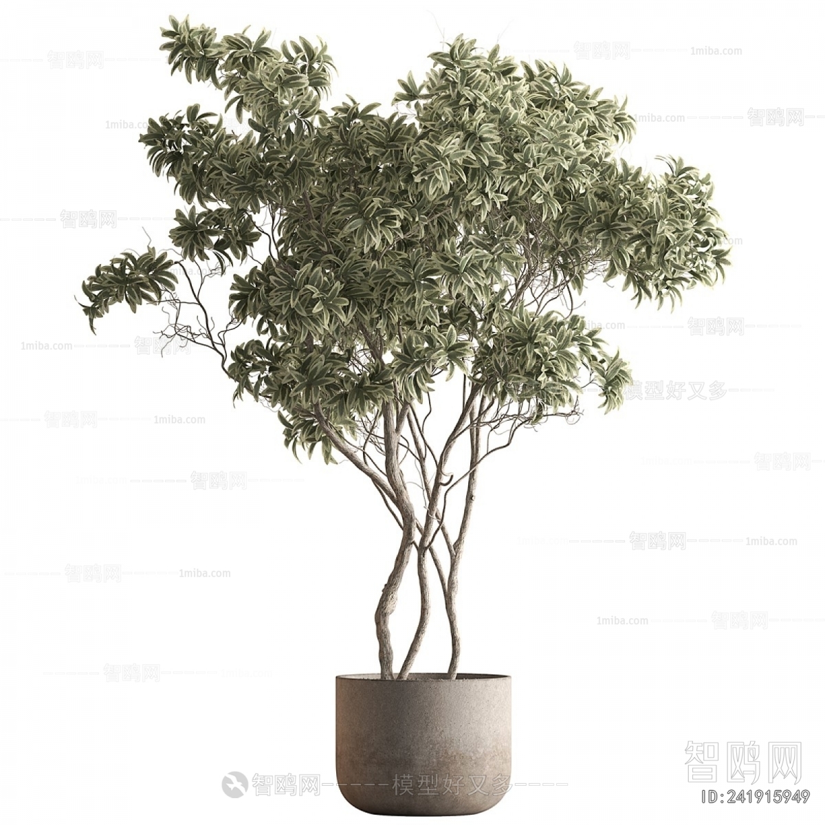 Modern Ground Green Plant Potted Plants