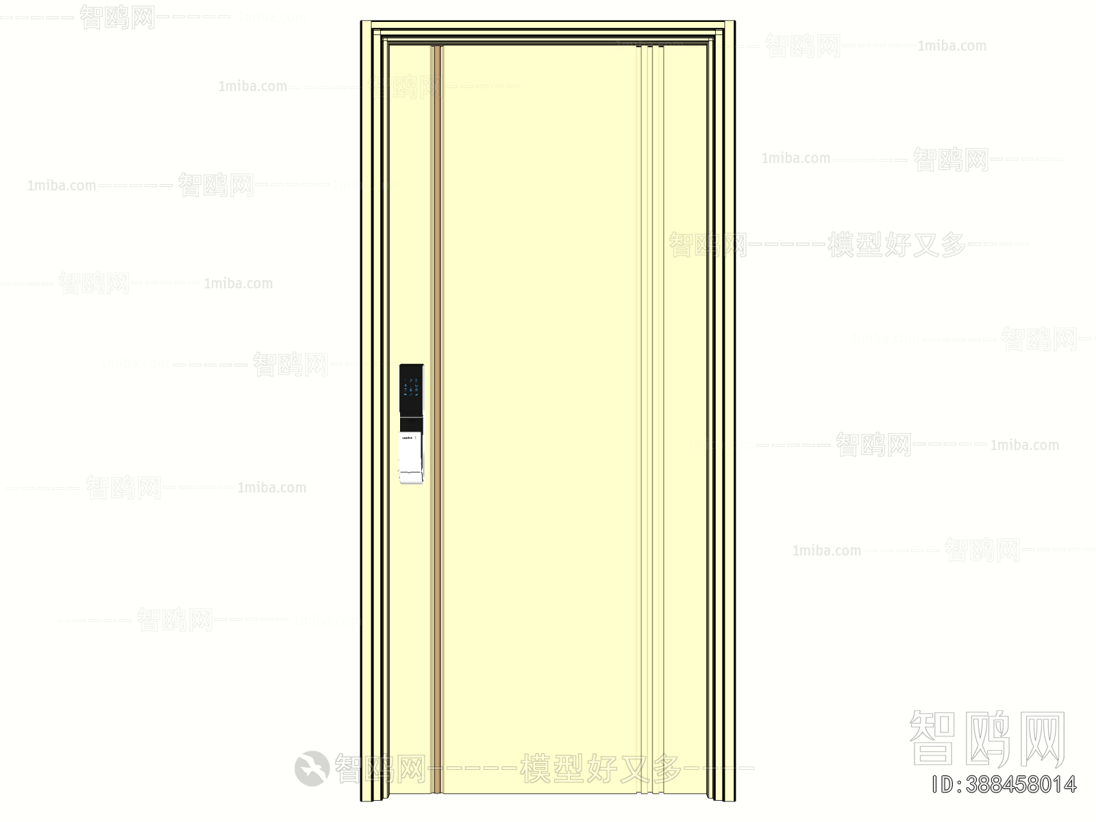 Modern Entrance Door