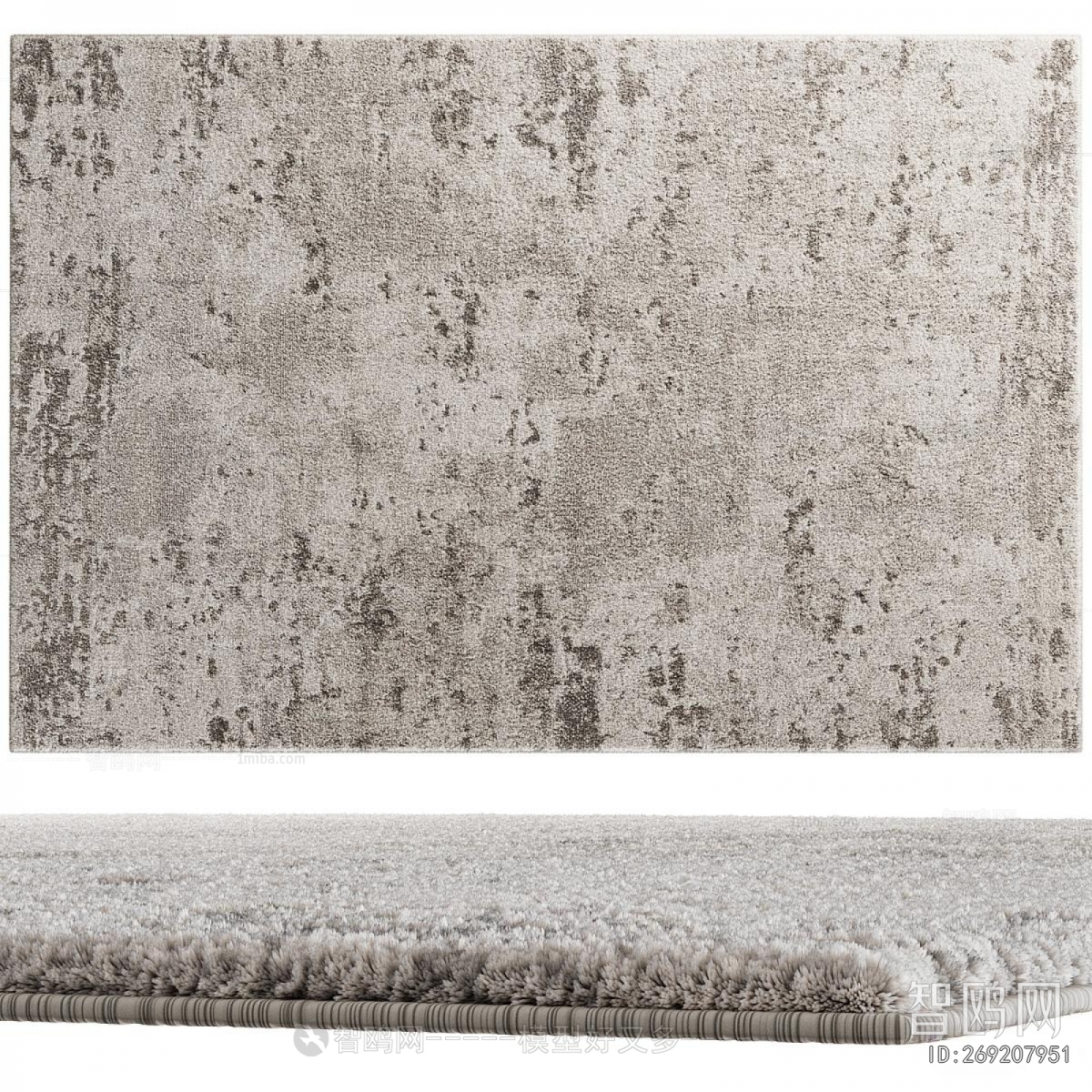 Modern The Carpet