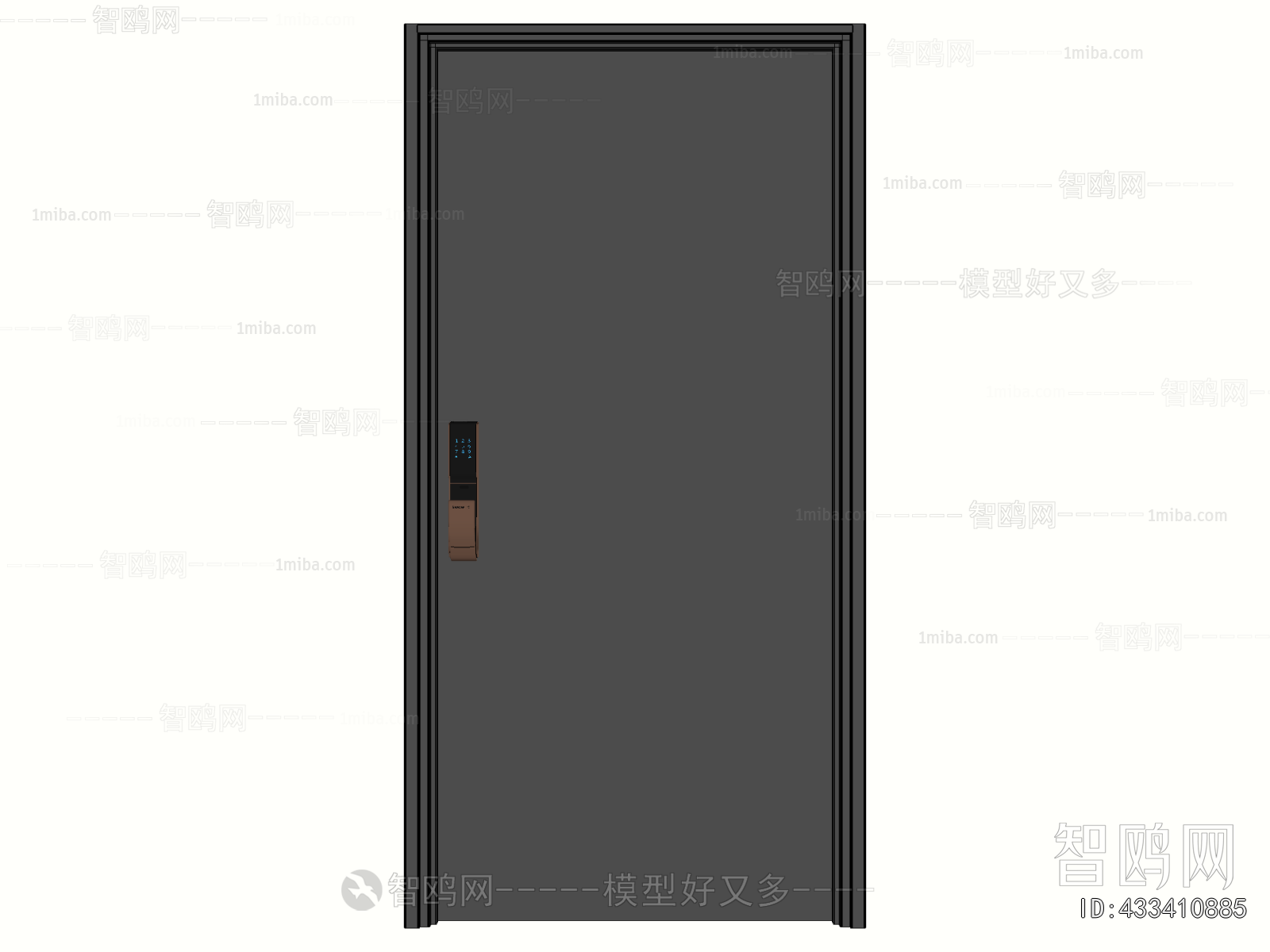 Modern Entrance Door