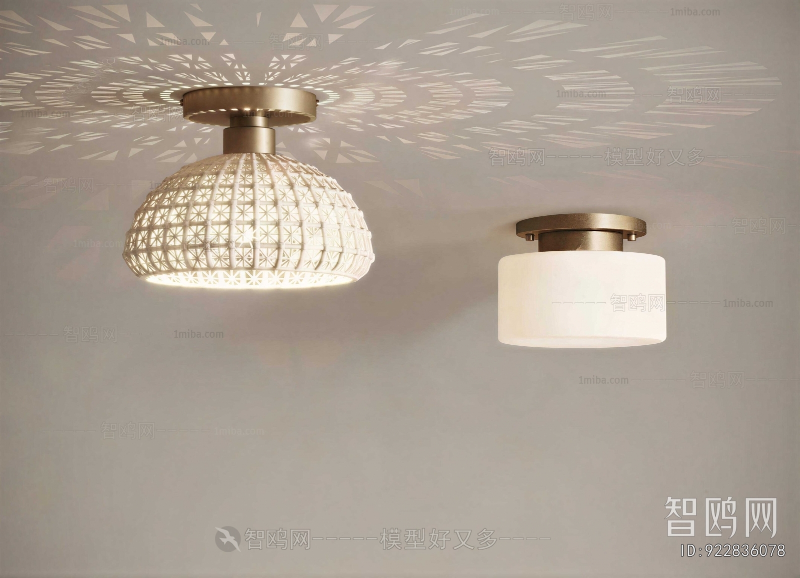 Modern Ceiling Ceiling Lamp