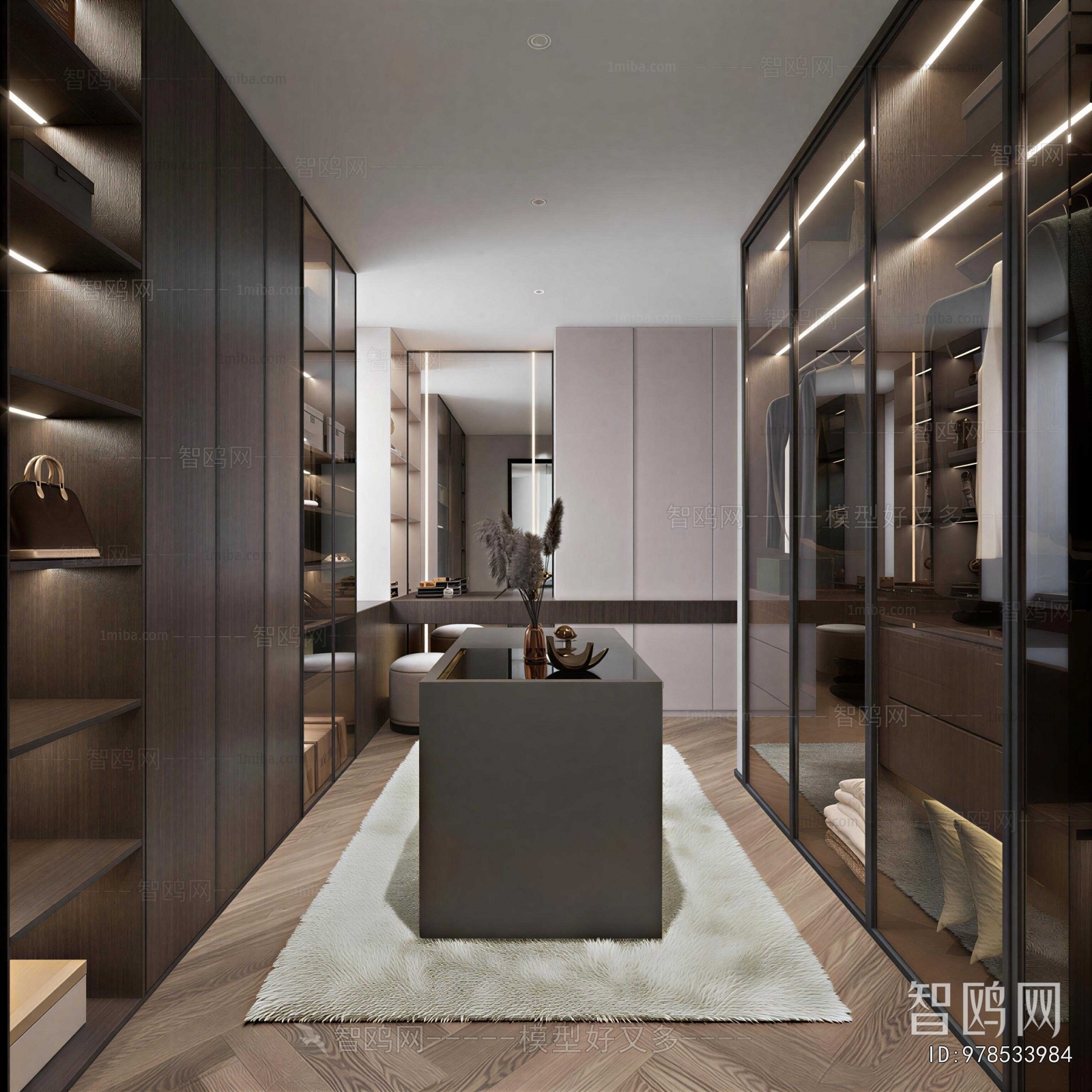 Modern Clothes Storage Area