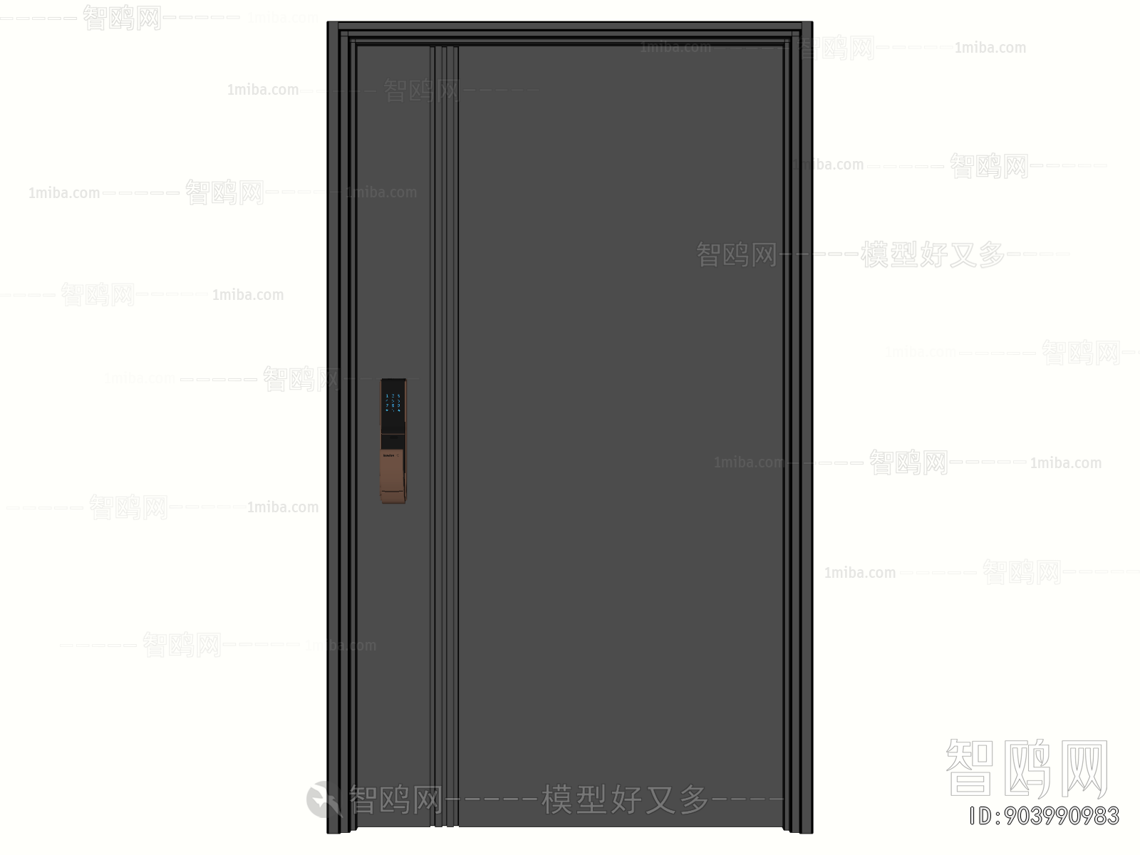 Modern Entrance Door