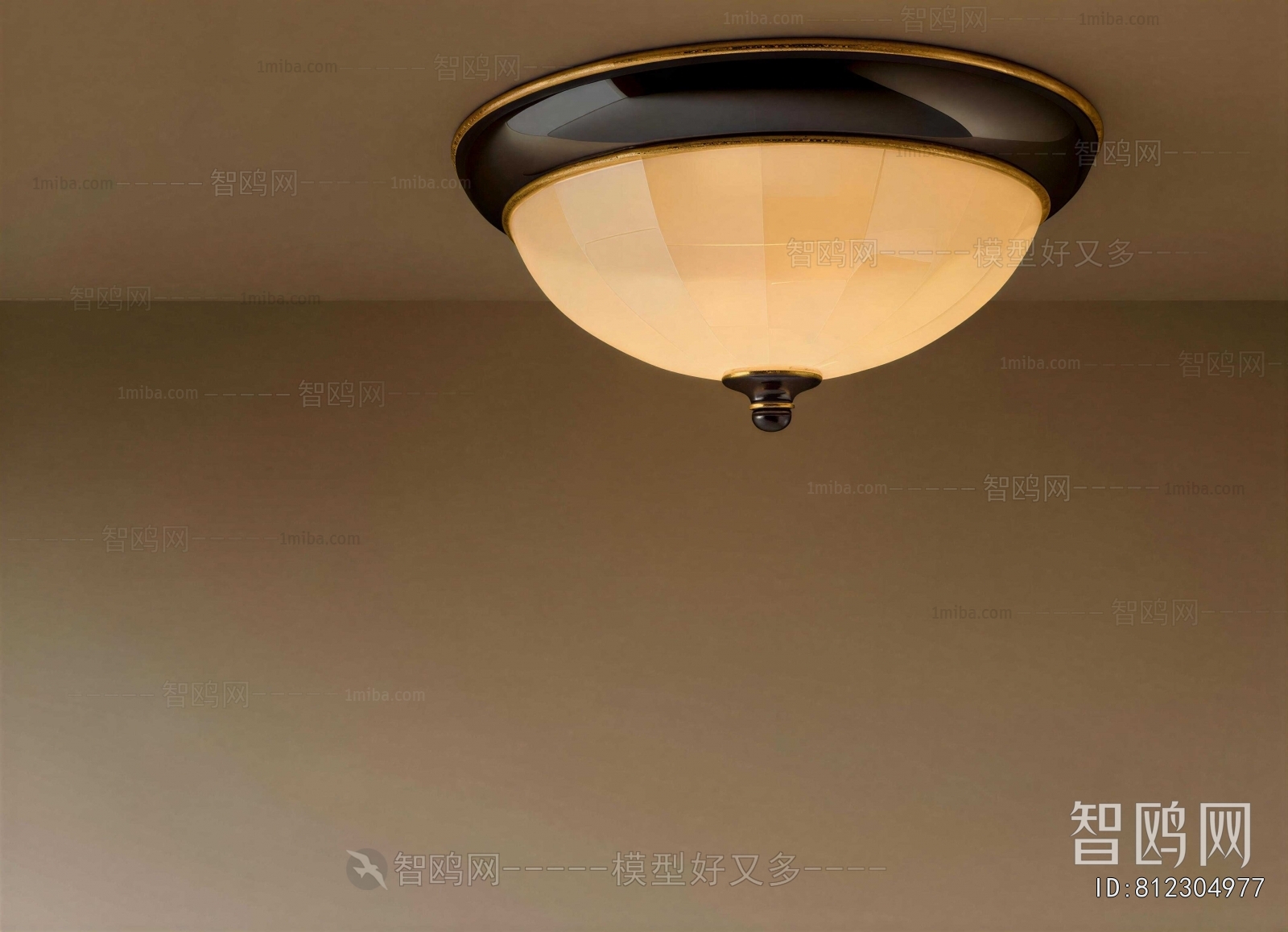 Modern Ceiling Ceiling Lamp