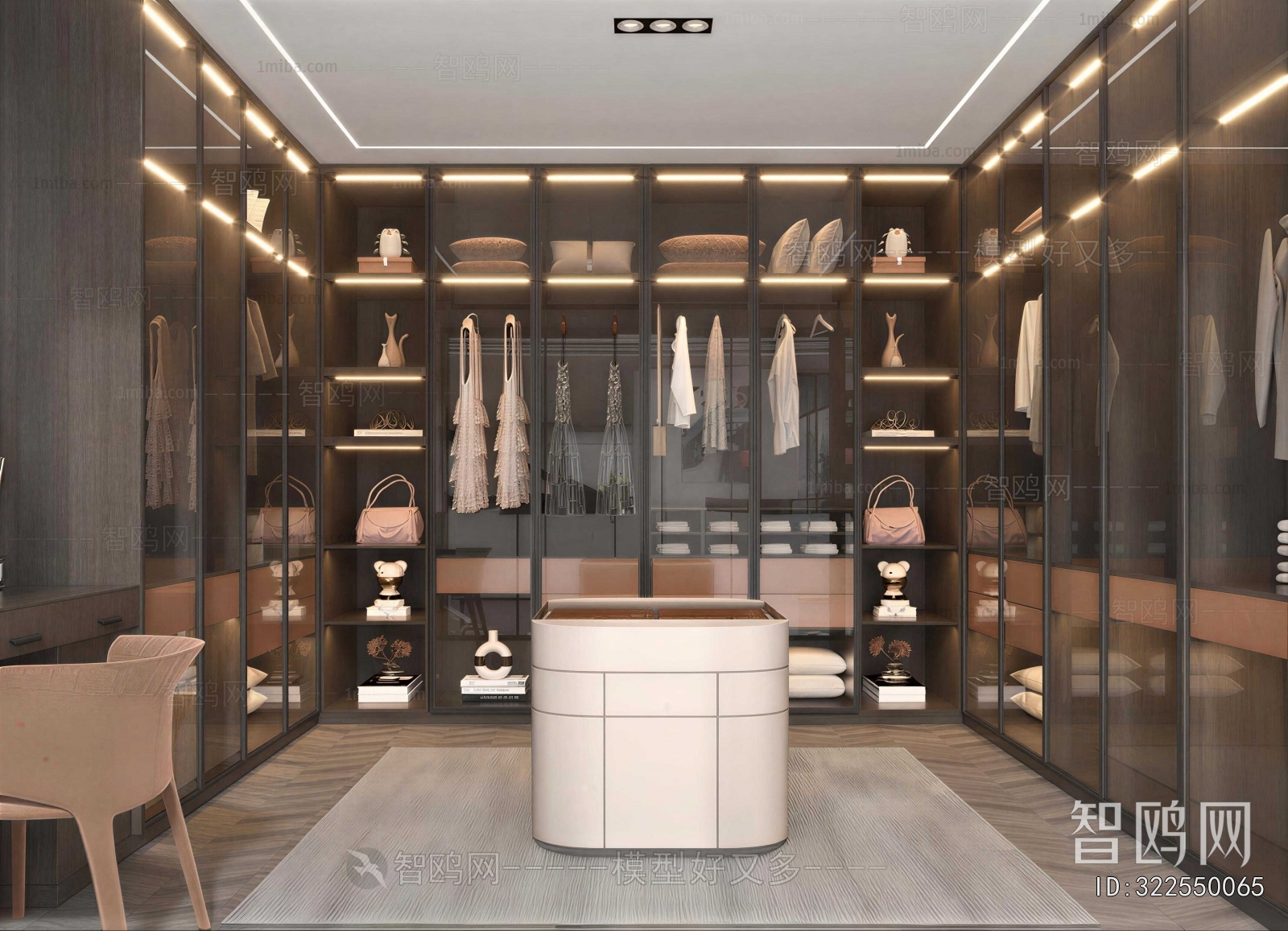 Modern Clothes Storage Area