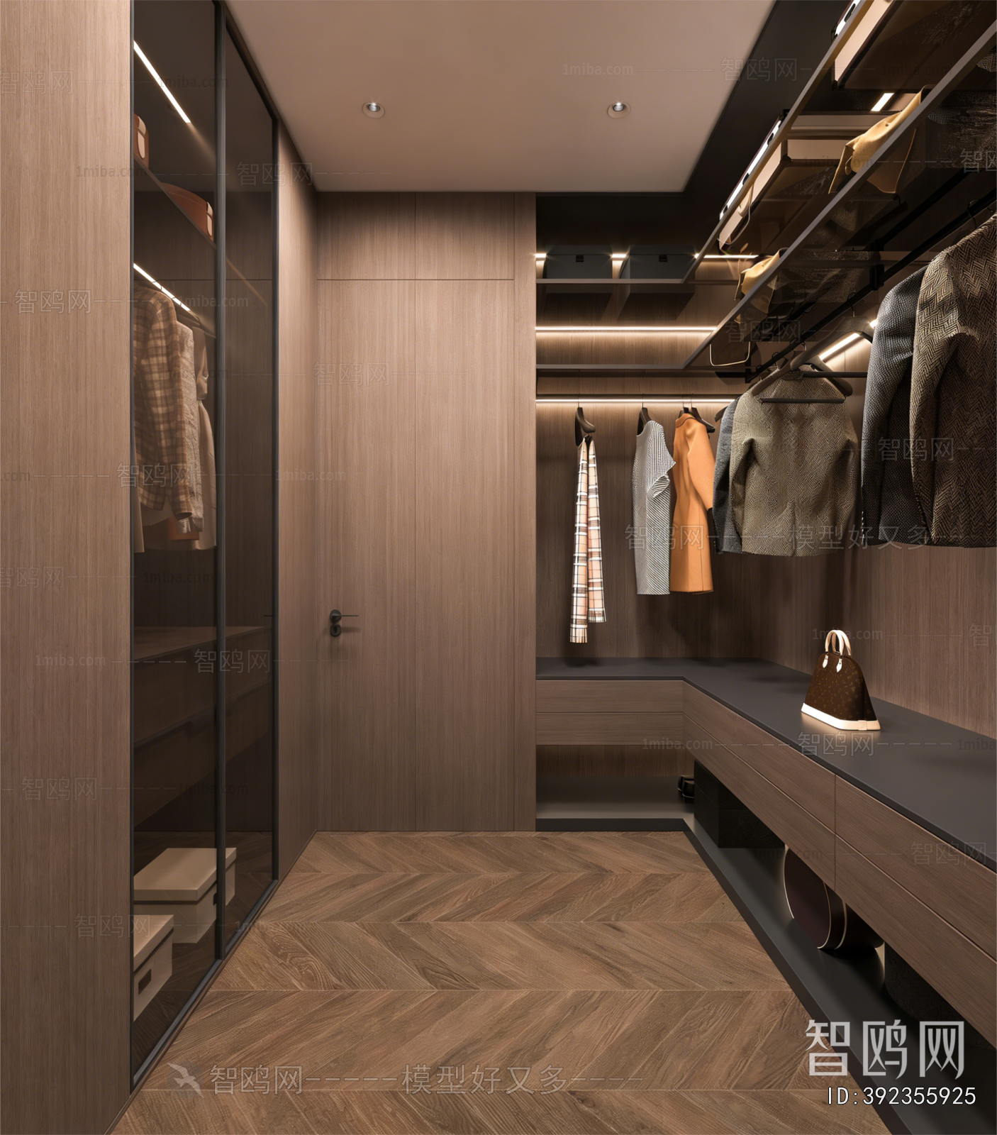 Modern Clothes Storage Area