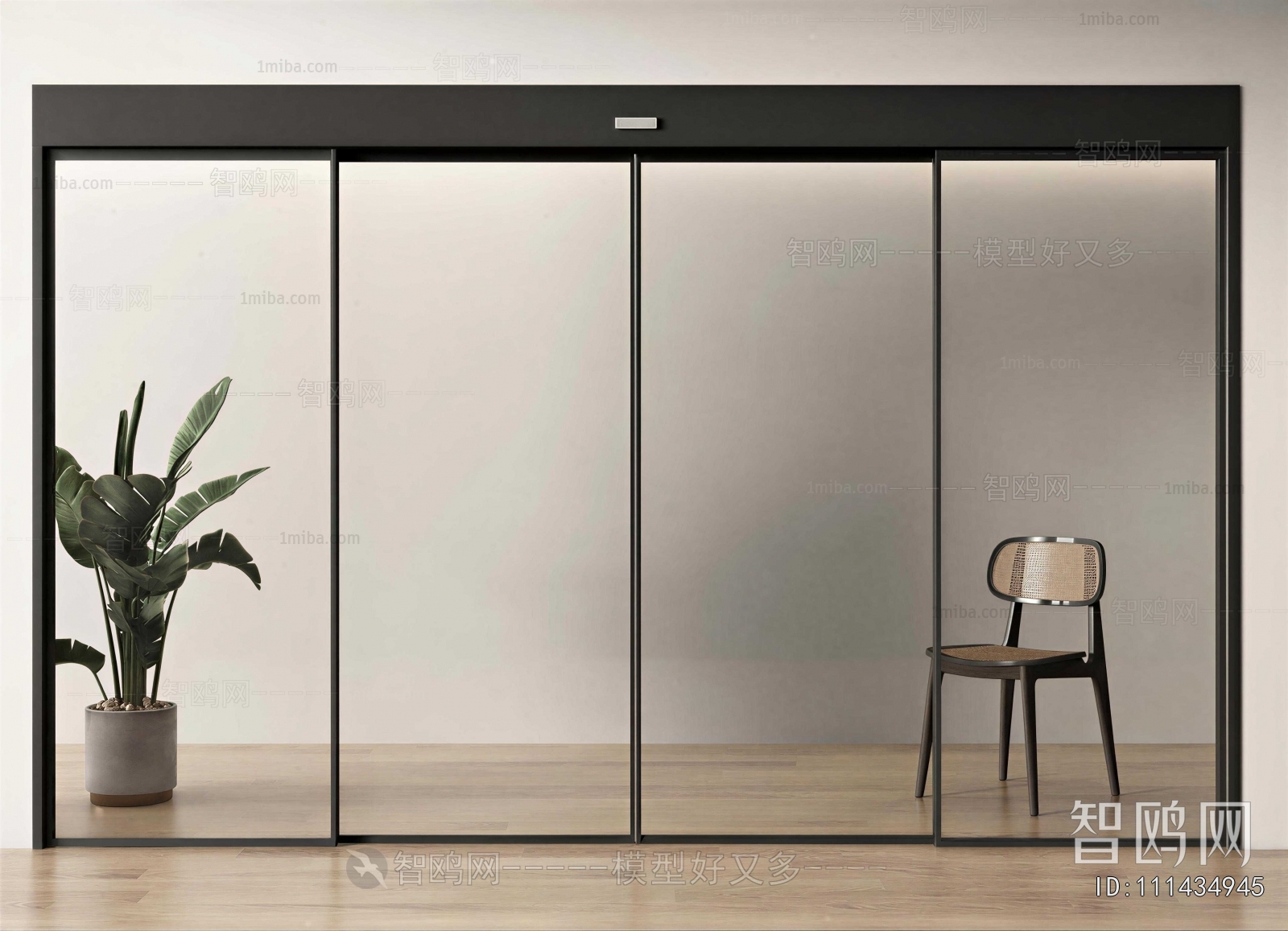 Modern Door