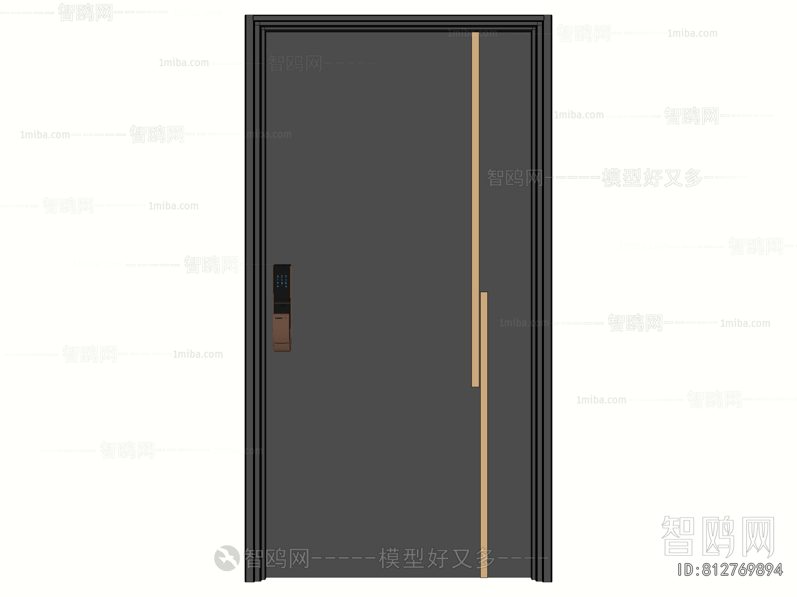 Modern Entrance Door